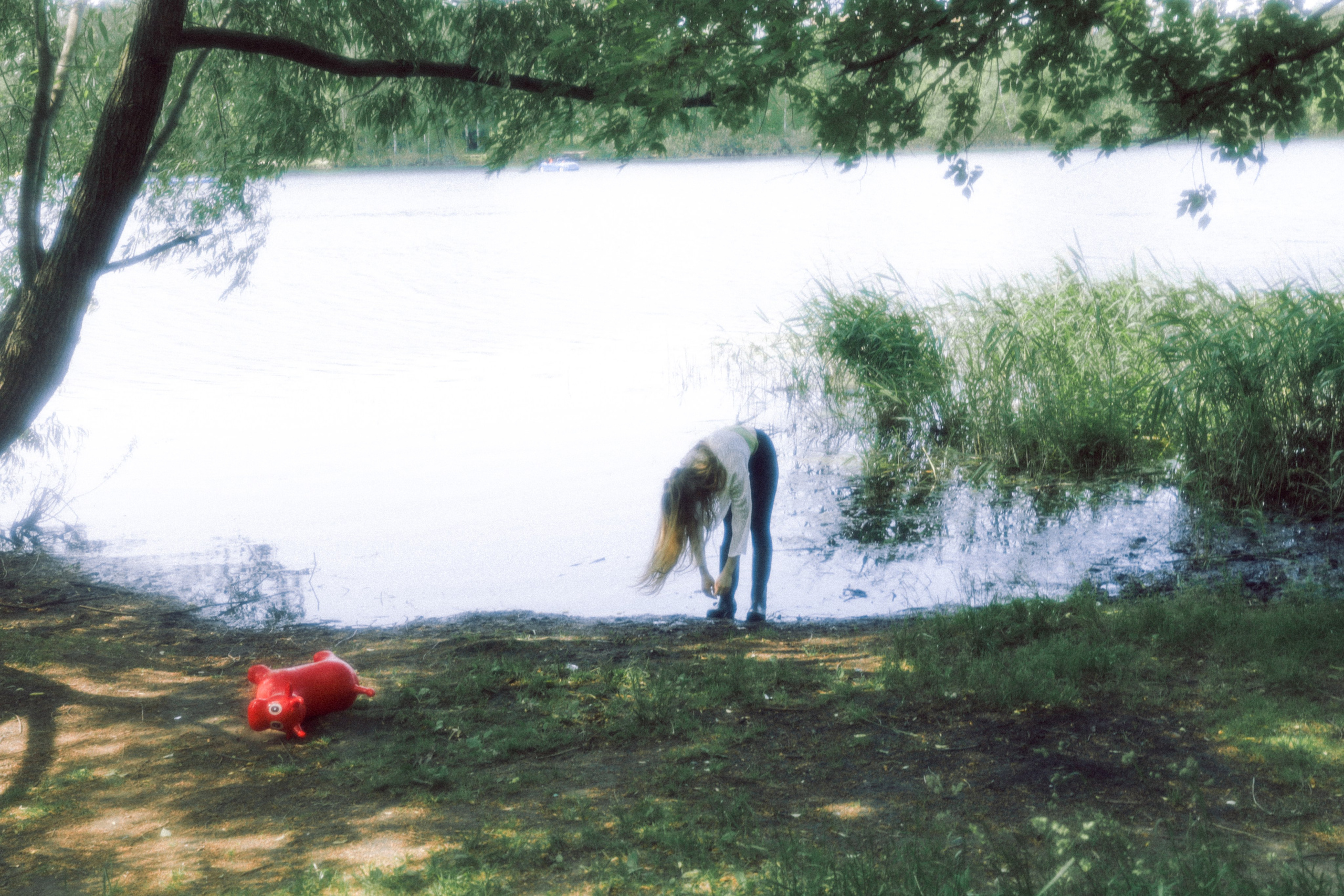 Redcow. Фотограф Мурманск | Нижний Новгород • Анна Хижняк