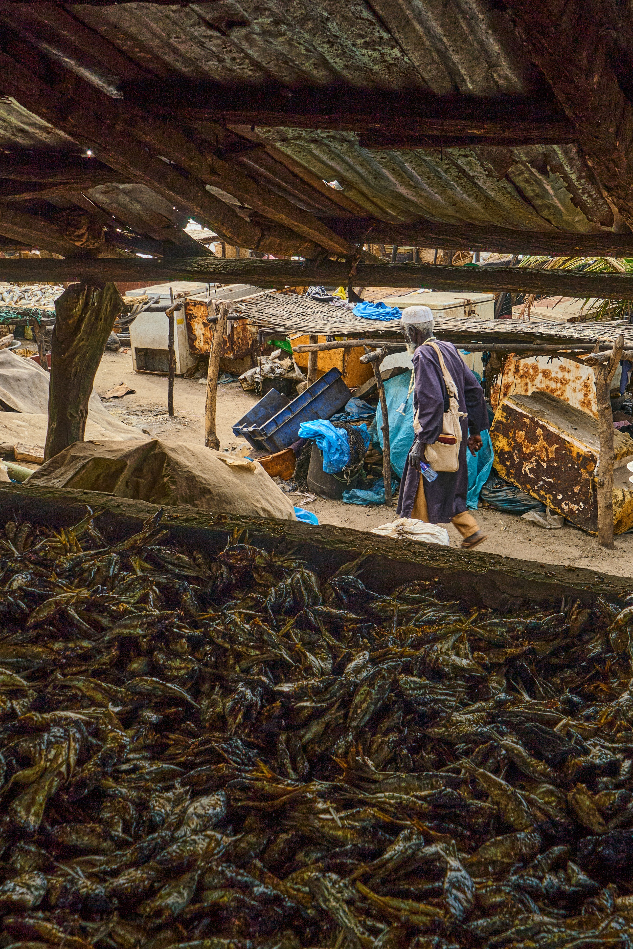 Guinea-Bissau. See the moment and catche. commercial and reportage