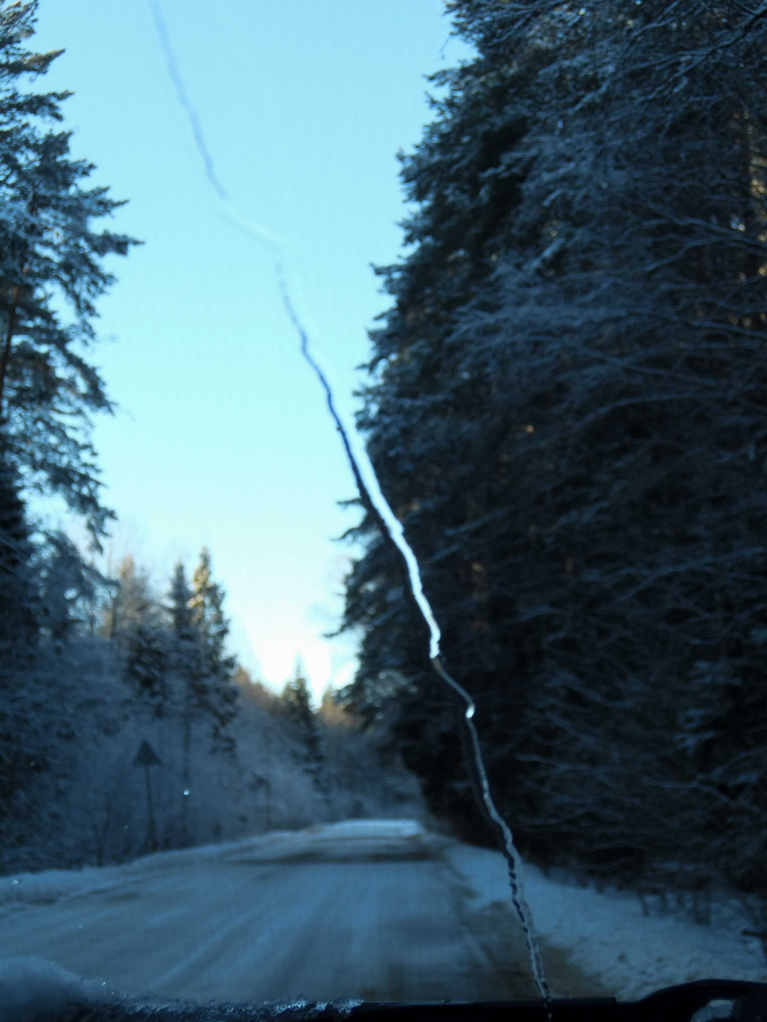 Солнечный день Нового Года. Фотограф-документалист Мария Осокина