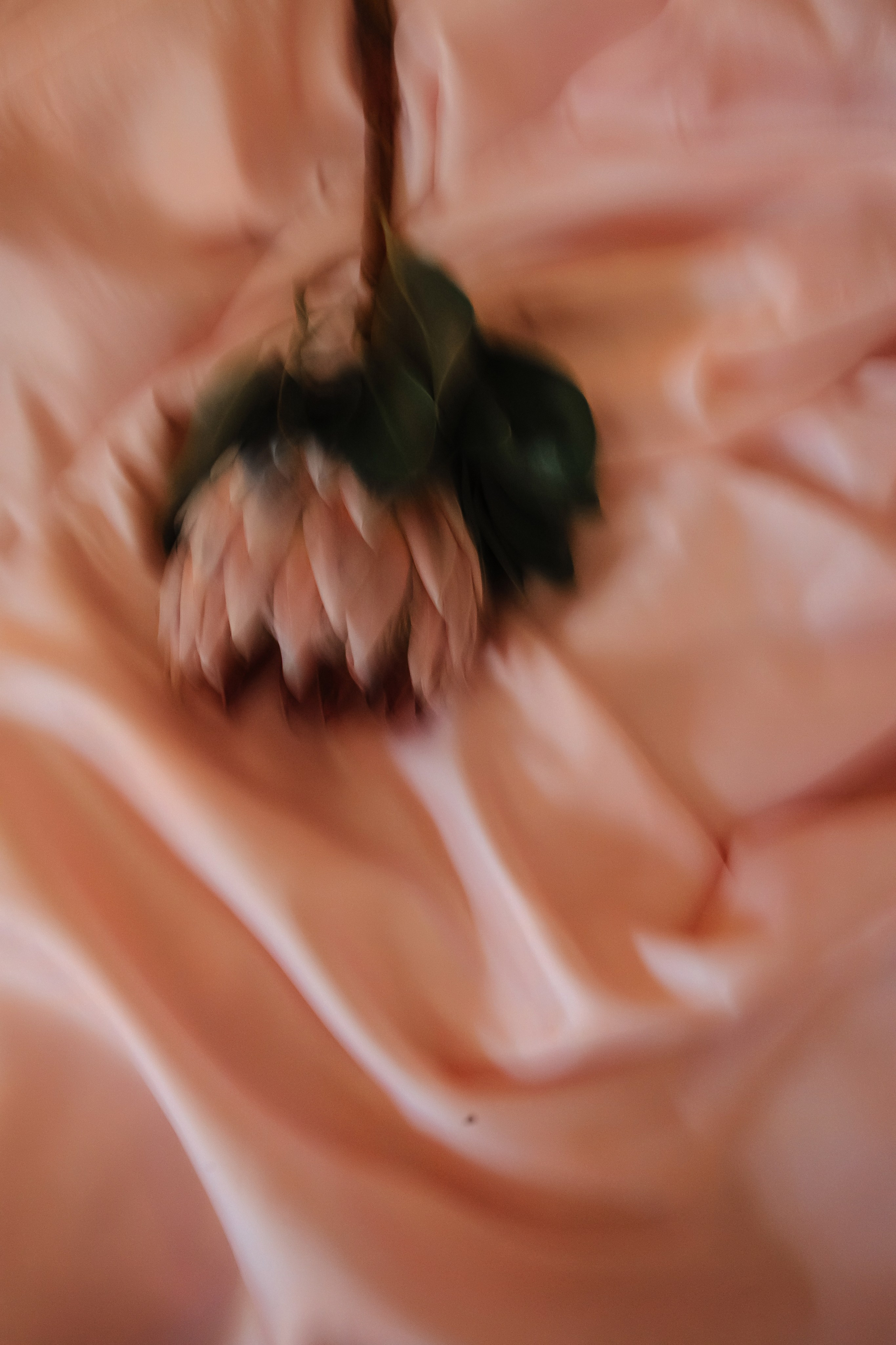 Лолита и Александр. Свадебный фотограф в Москве Михайлина Настя