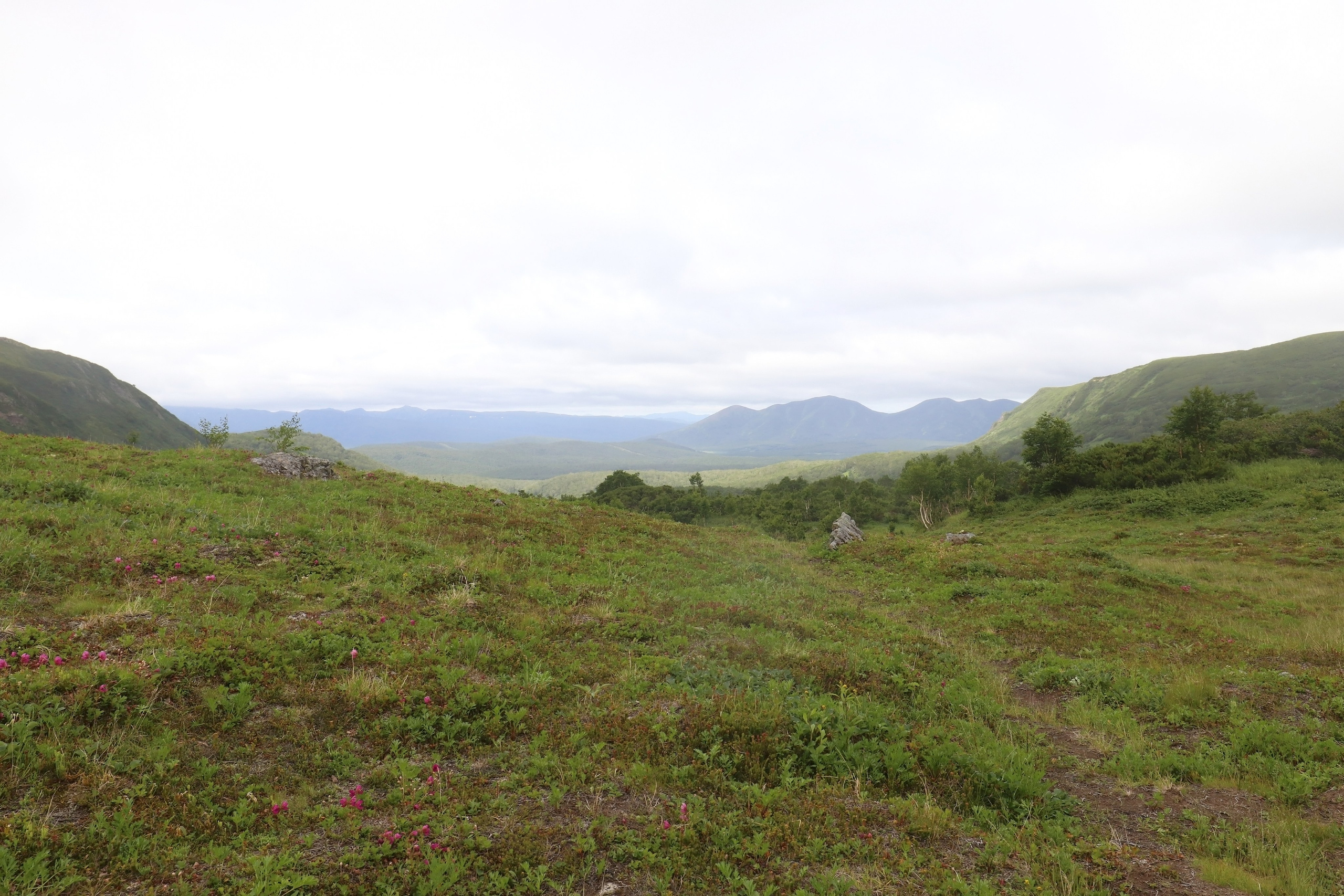 Камчатка и о. Парамушир. Июль 2024. Путешественник-фотограф из Санкт-Петербурга Татьяна Свистулина