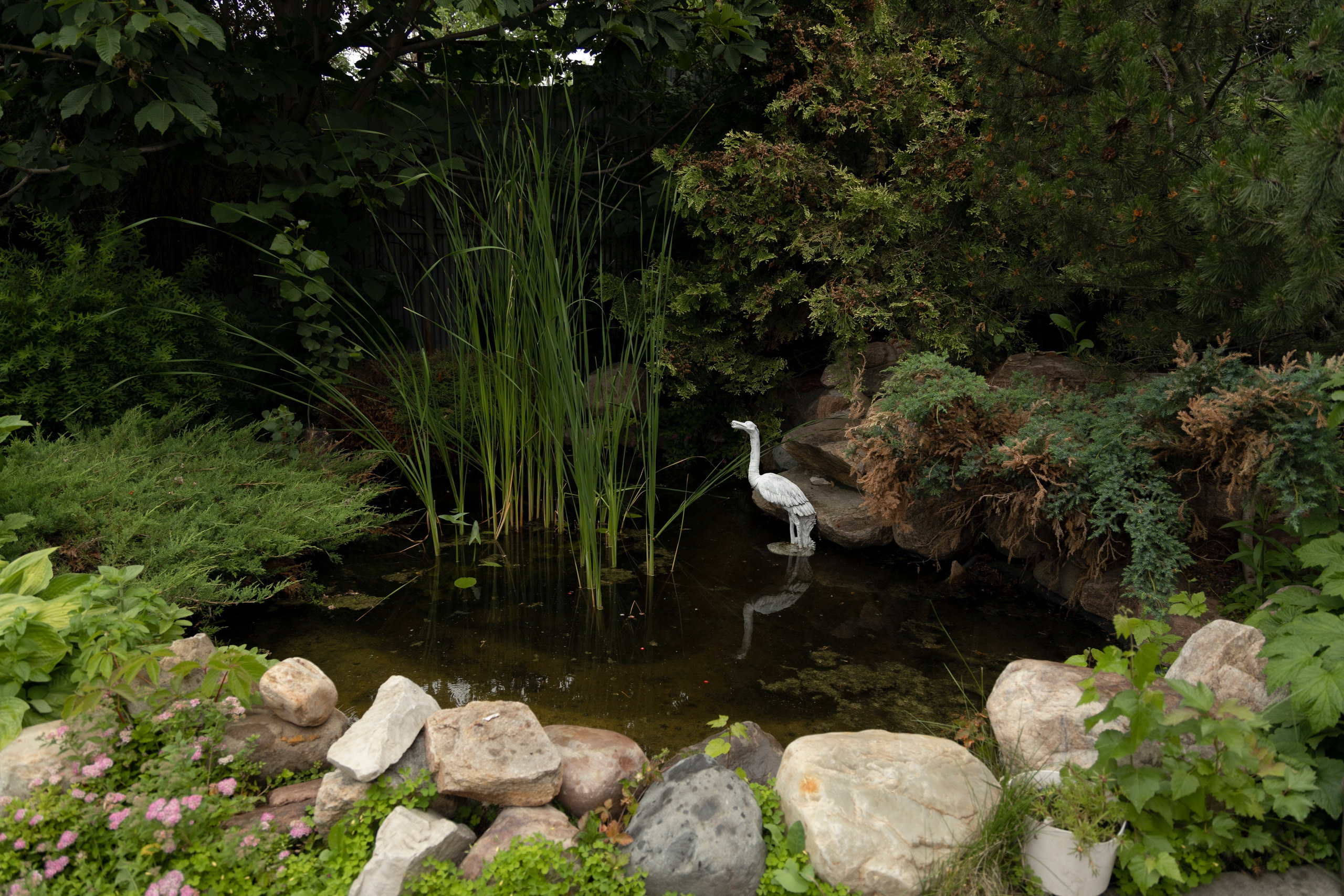 Репортаж свадебного вечера. Свадебный фотограф Александра Попова