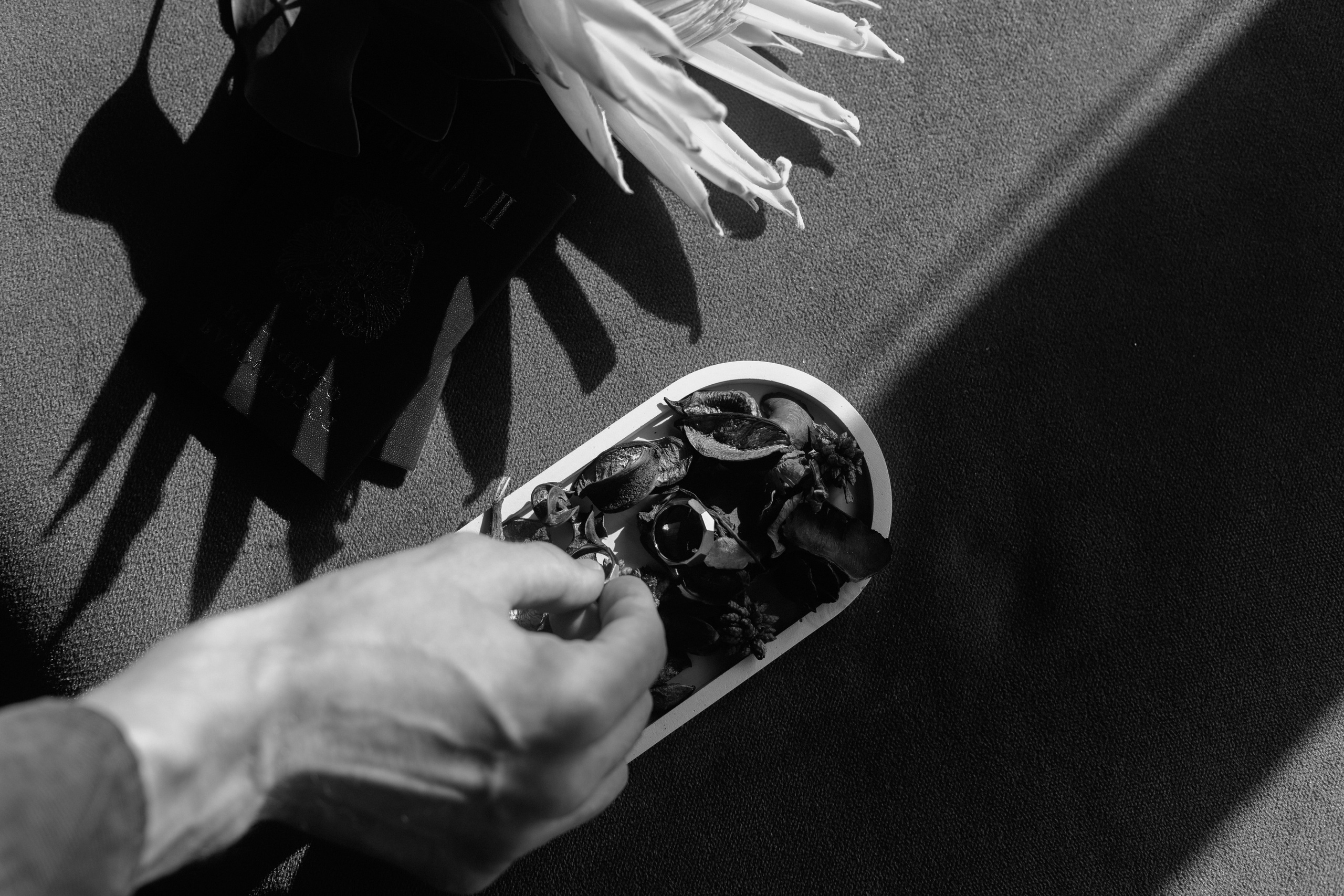 Алена и Дима. Фотограф Олеся Голева