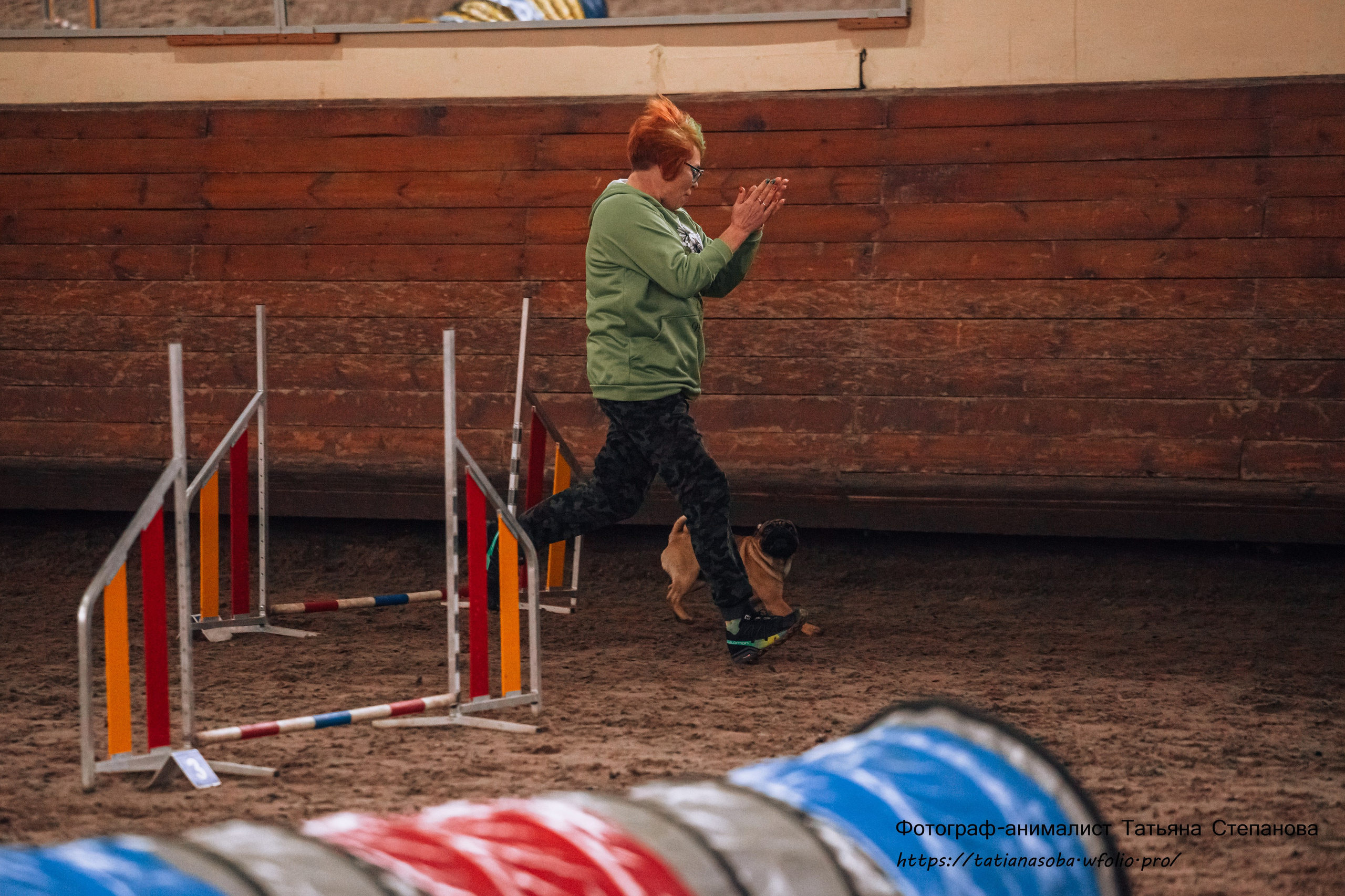 Соревнования по Аджилити 25.02.2024. Фотограф-анималист Татьяна Степанова