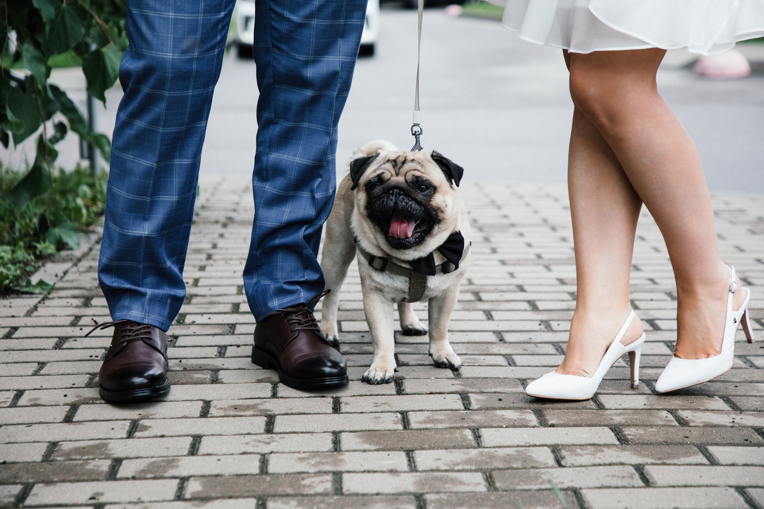Ольга и Алексей. Свадебный фотограф в Санкт-Петербурге Анастасия Андреева