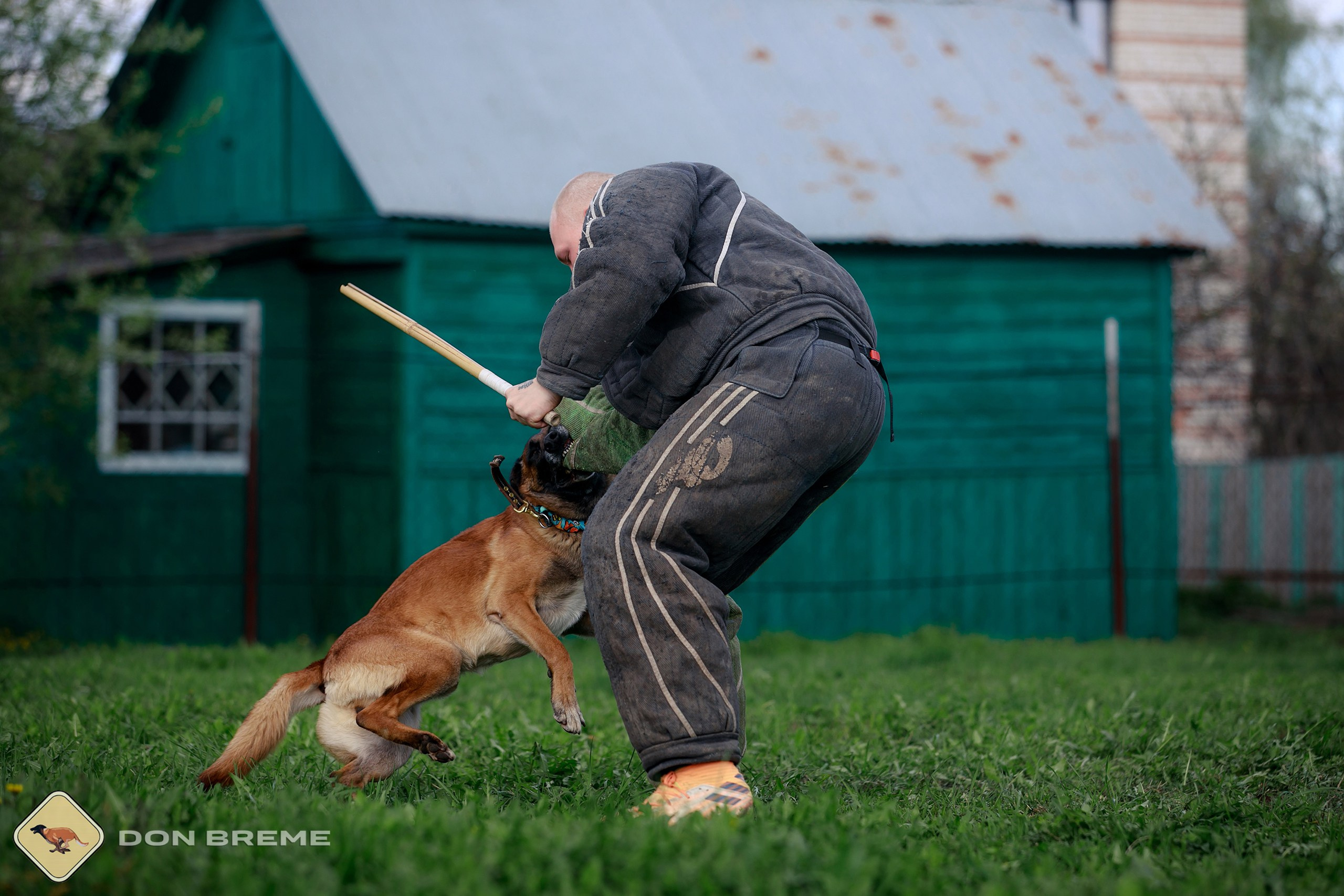 Семинар для фигурантов, день 2. Фотограф-анималист Mary Mart — Москва, Питер
