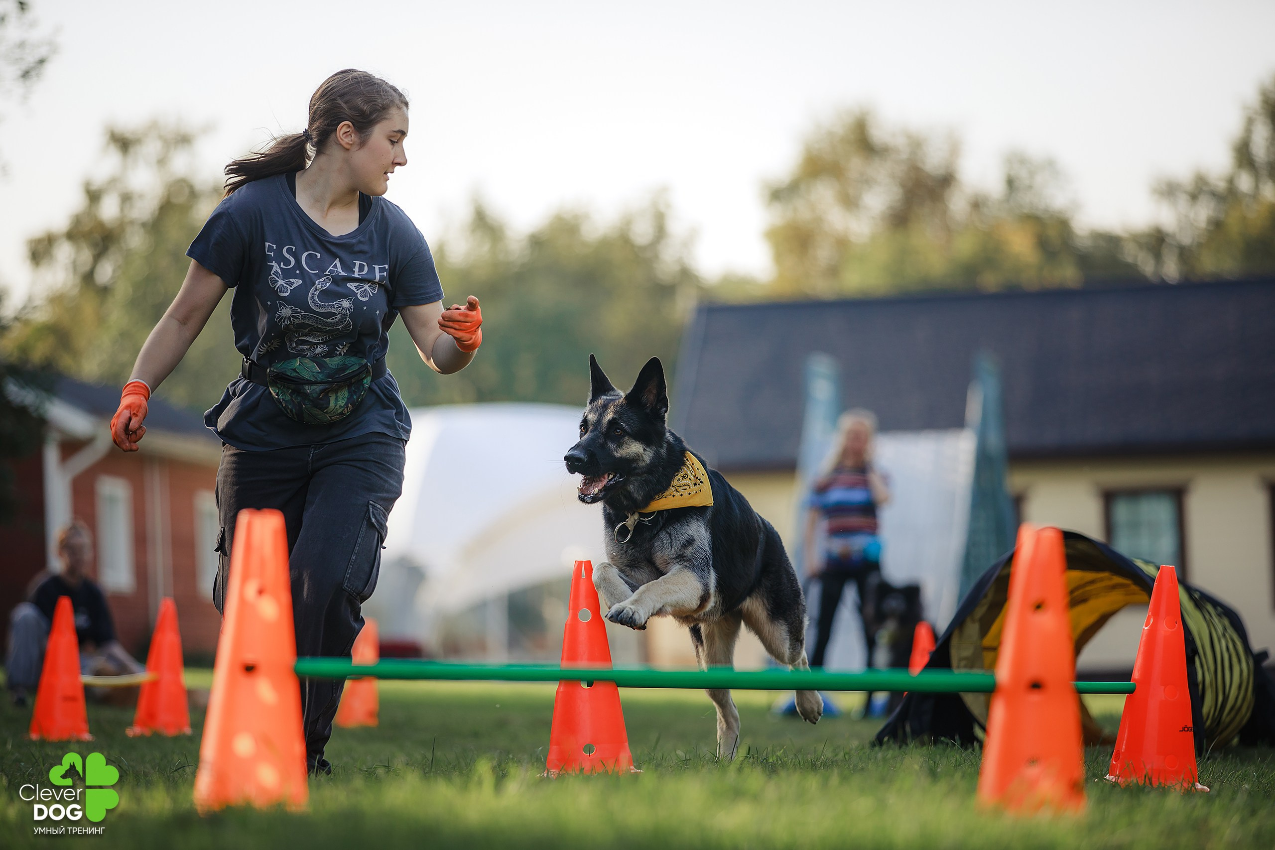 Кинологический лагерь CleverDog, 2024. Фотограф-анималист Mary Mart — Москва, Питер