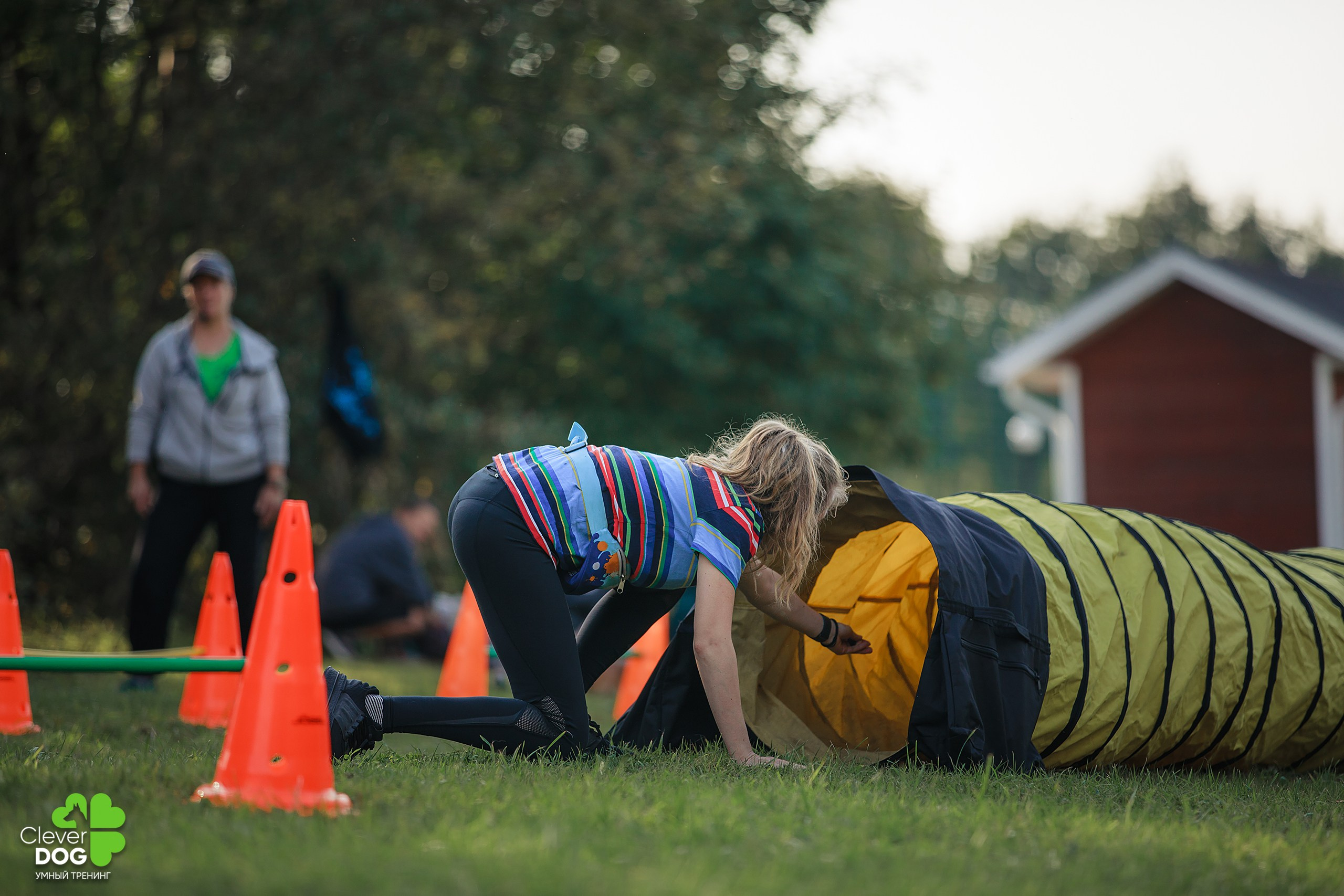 Кинологический лагерь CleverDog, 2024. Фотограф-анималист Mary Mart — Москва, Питер