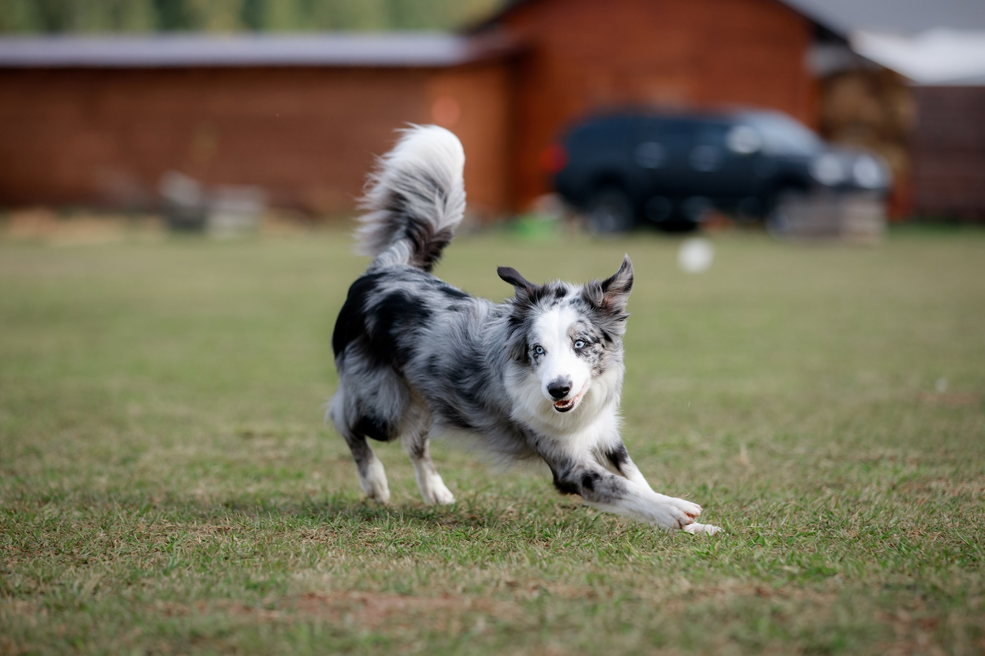 Лагерь по ОБД с Инной Баженовой. Фотограф-анималист Mary Mart — Москва, Питер