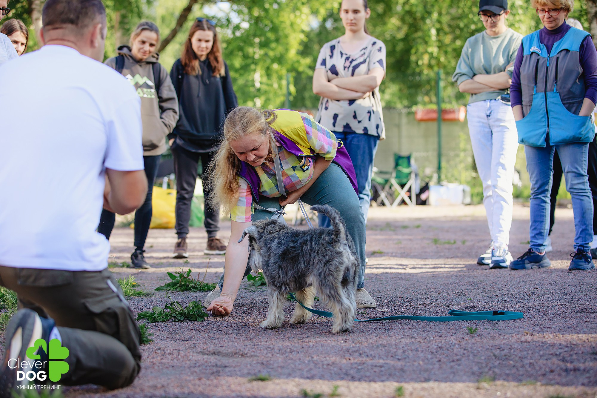 Семинар по поиску запаха с Иваном Ломовым, организатор CleverDog, СПб. Фотограф-анималист Mary Mart — Москва, Питер