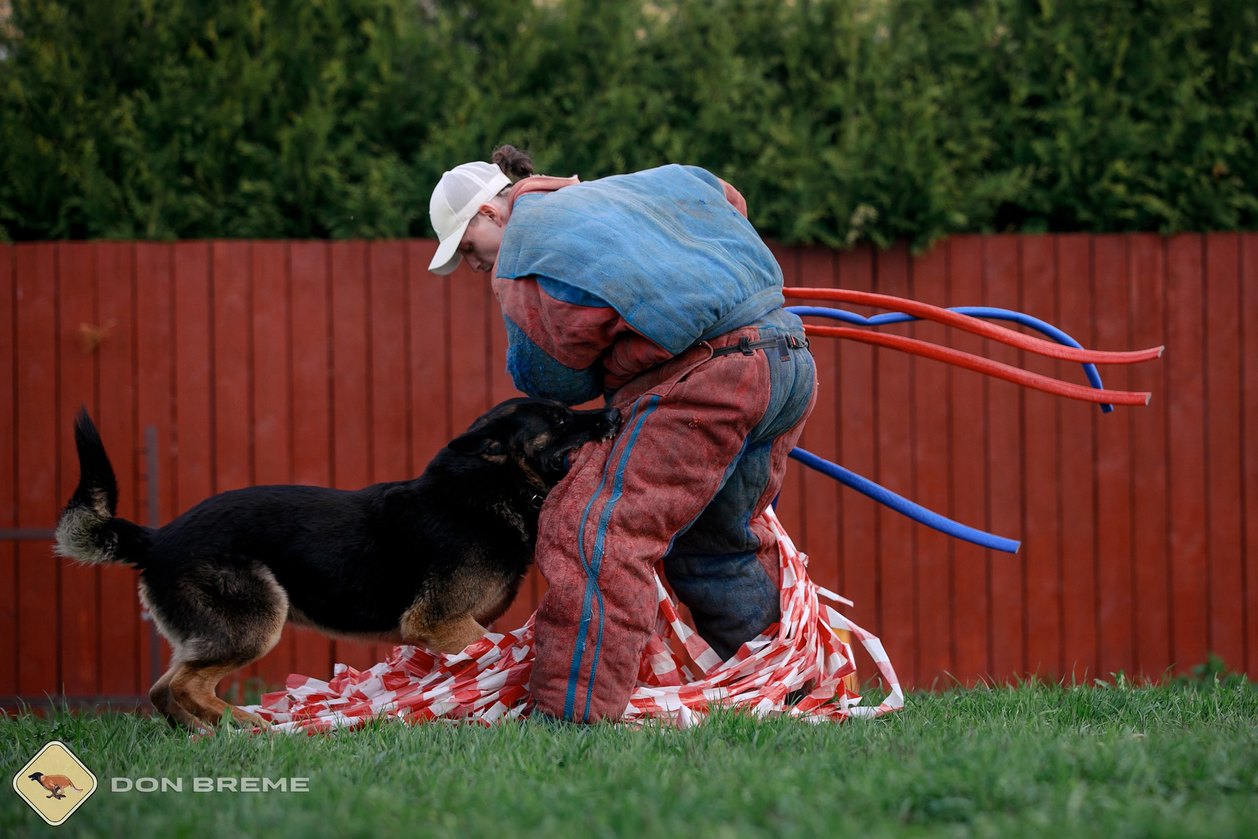 Семинар для фигурантов, день 2. Фотограф-анималист Mary Mart — Москва, Питер
