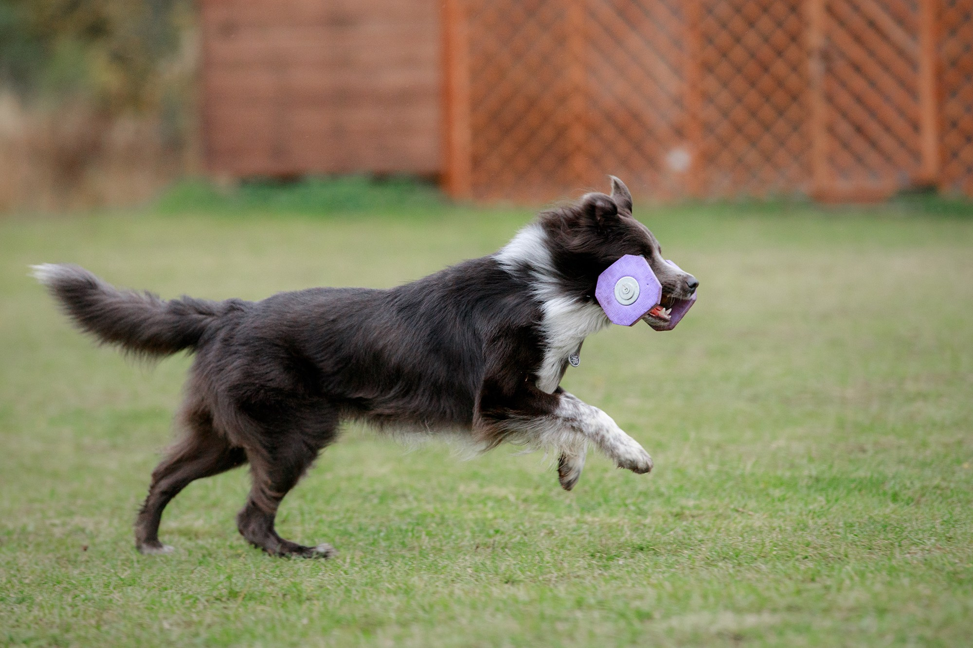 Лагерь по ОБД с Инной Баженовой. Фотограф-анималист Mary Mart — Москва, Питер