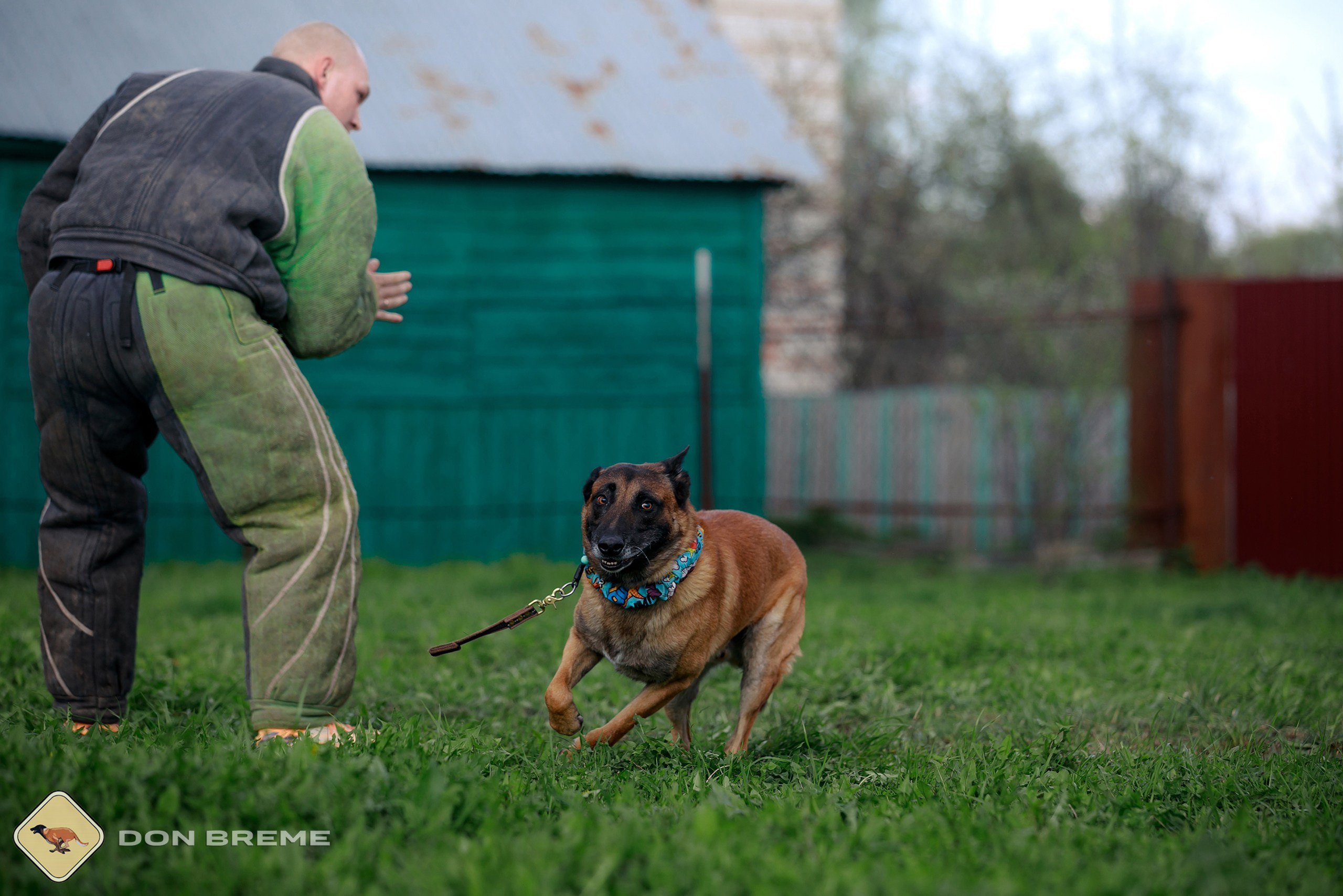 Семинар для фигурантов, день 2. Фотограф-анималист Mary Mart — Москва, Питер