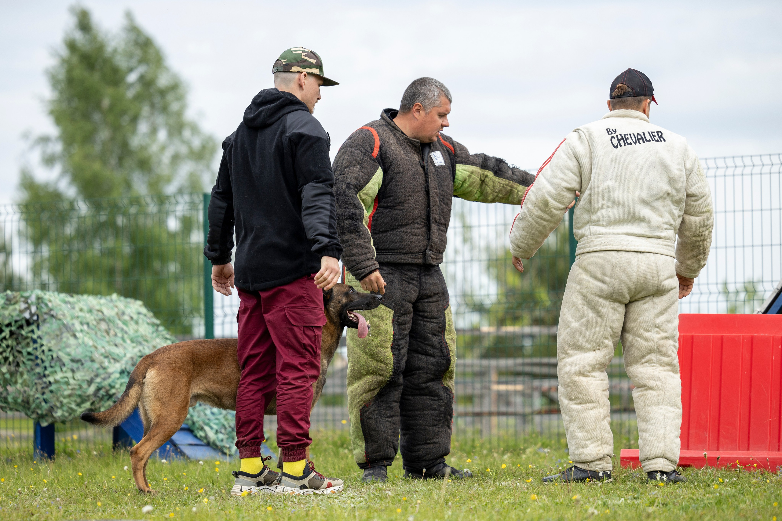 Испытания по мондьорингу в Нижнем Новгороде. Фотограф-анималист Анна Маринич