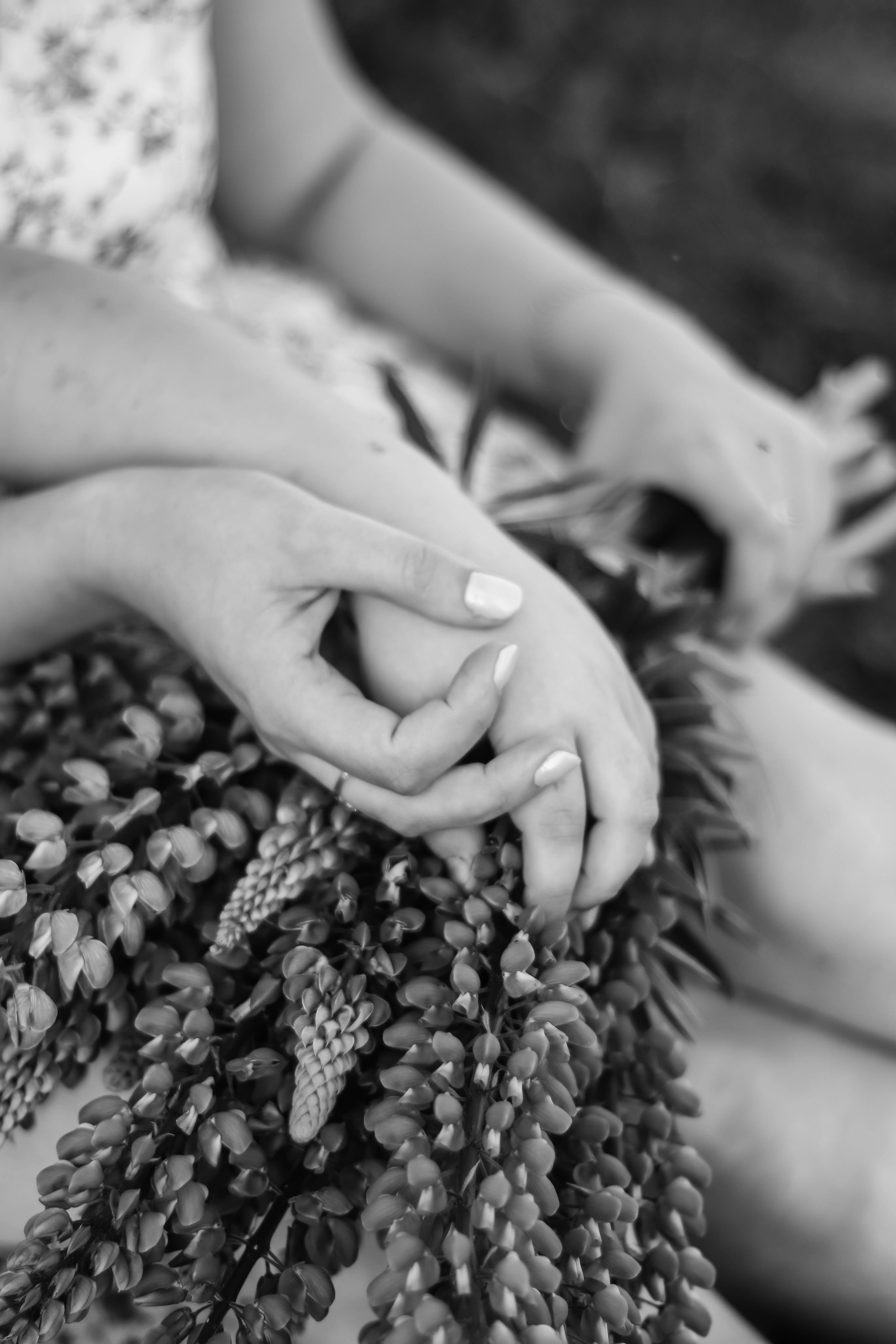 Семья Полянских. Фотограф Дарья Маташкова