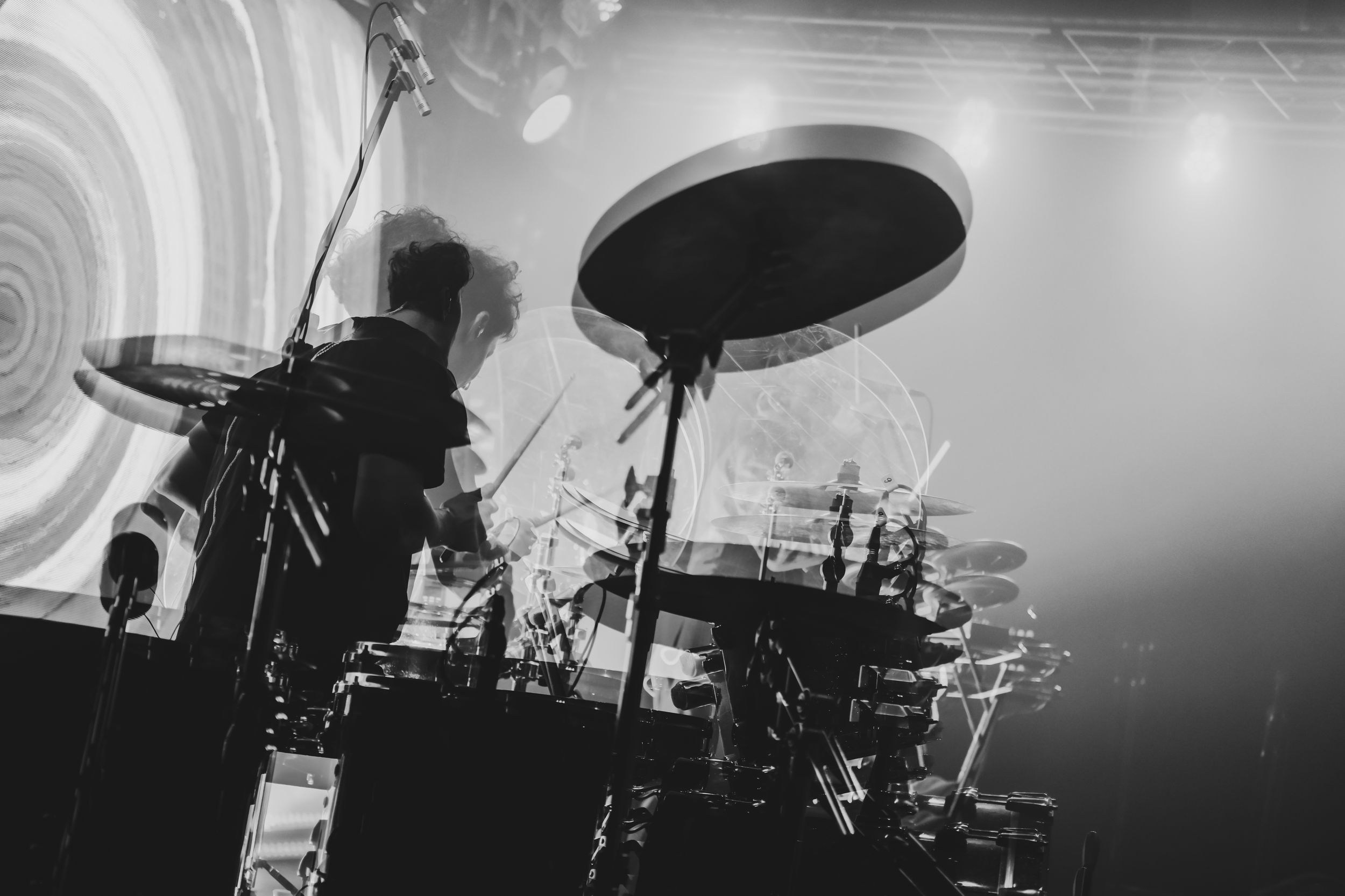 Дельфин. Репортажный фотограф Алексей Пирязев