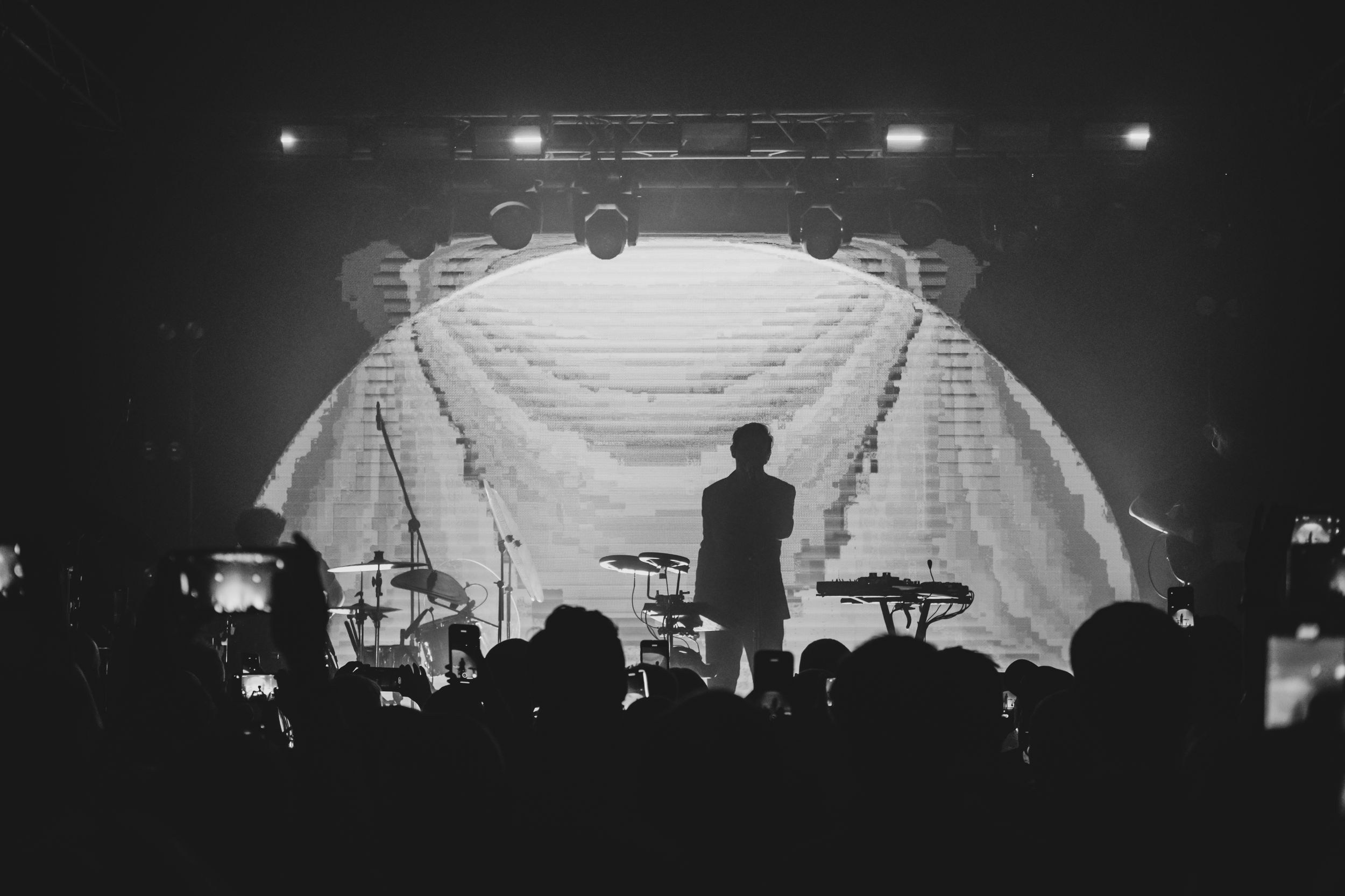 Дельфин. Репортажный фотограф Алексей Пирязев