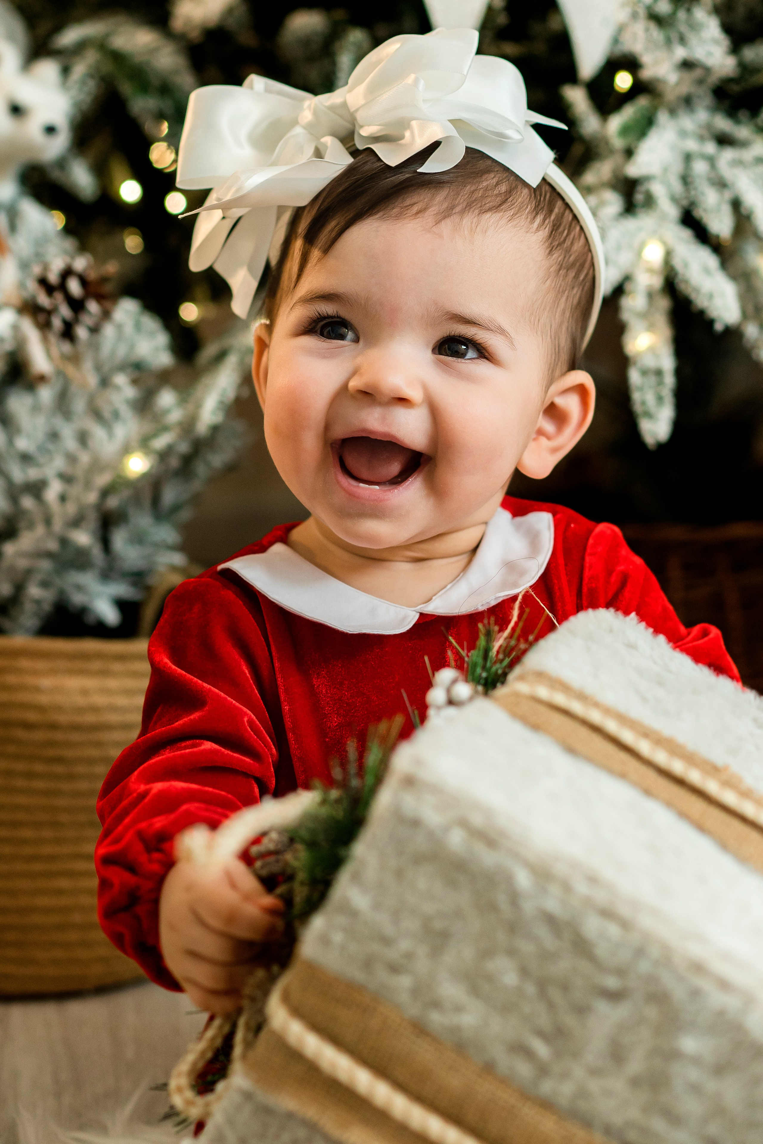 Новогодний в студии. Brand photographer