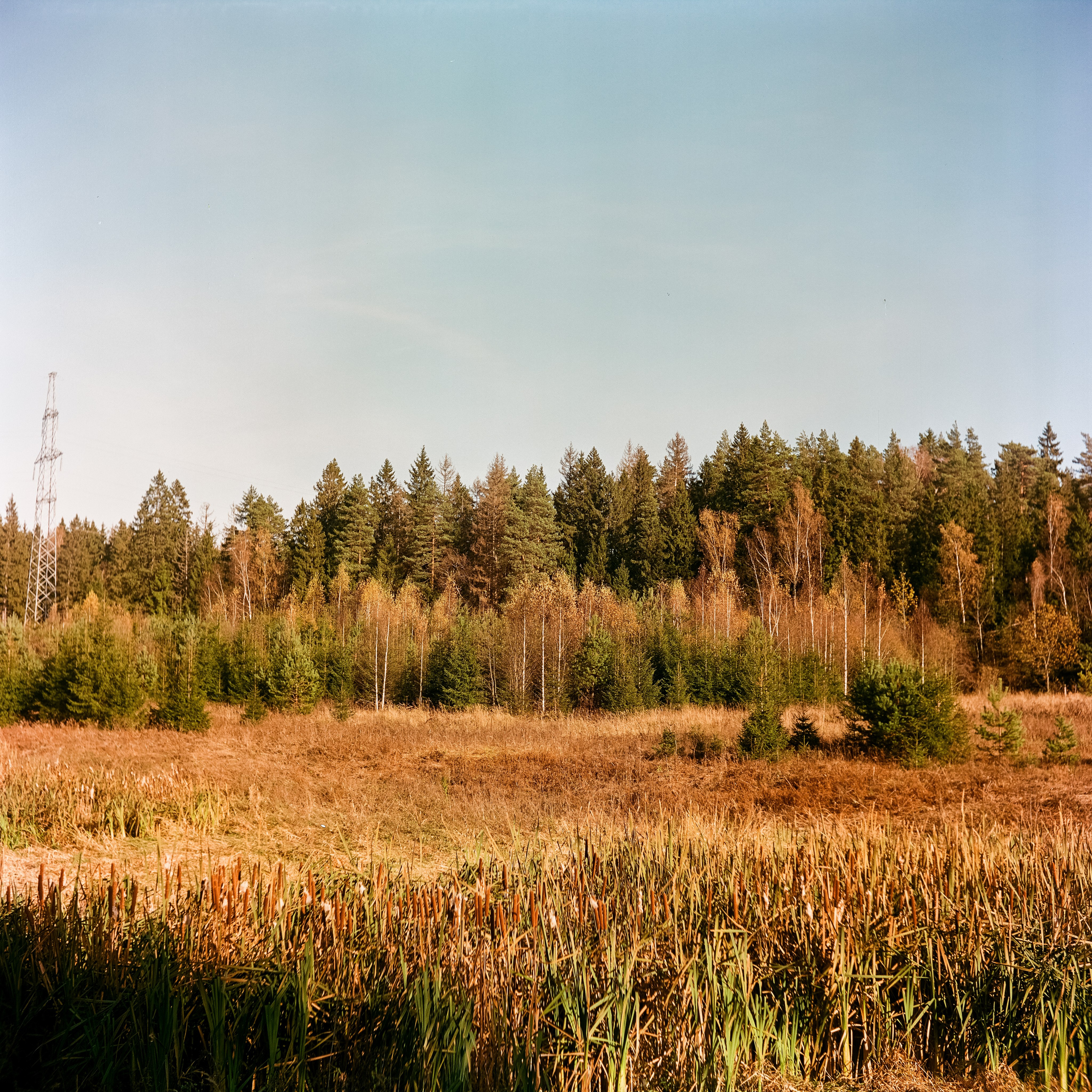 Белоконь Алексей. Фотография на пленку. Семья и путешествия