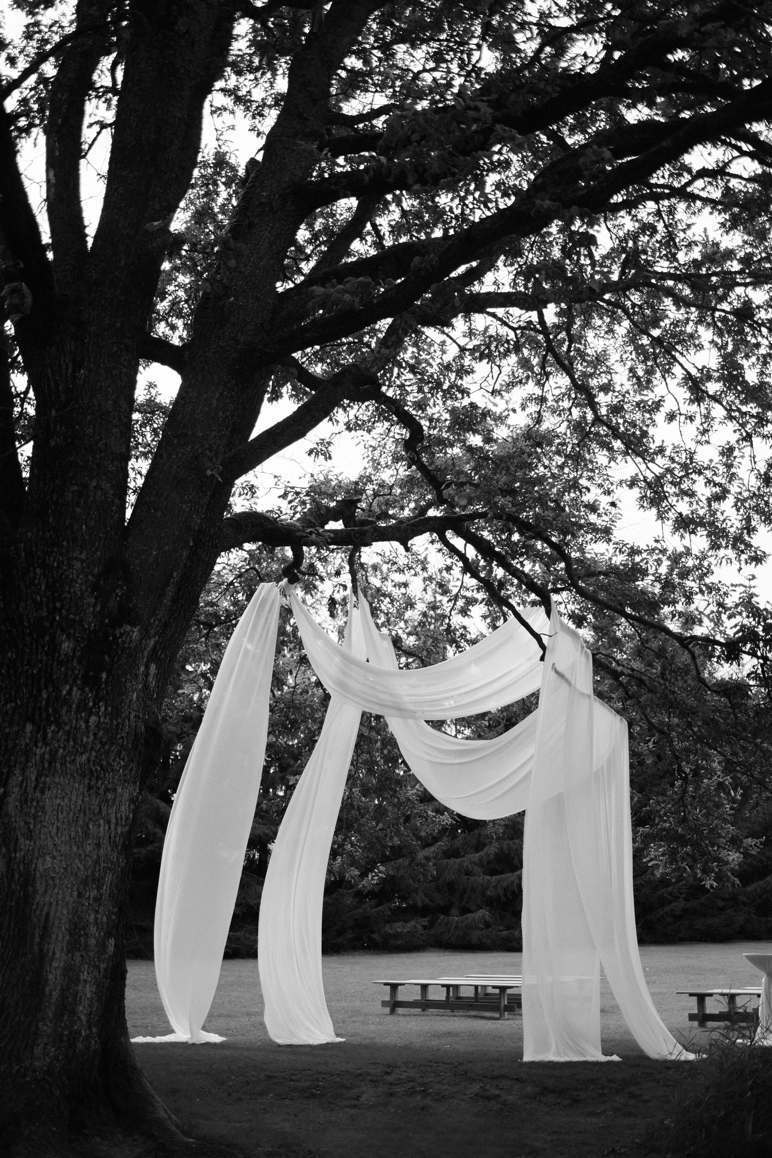 P&V. Свадебный фотограф Лиза Макатович Беларусь Минск