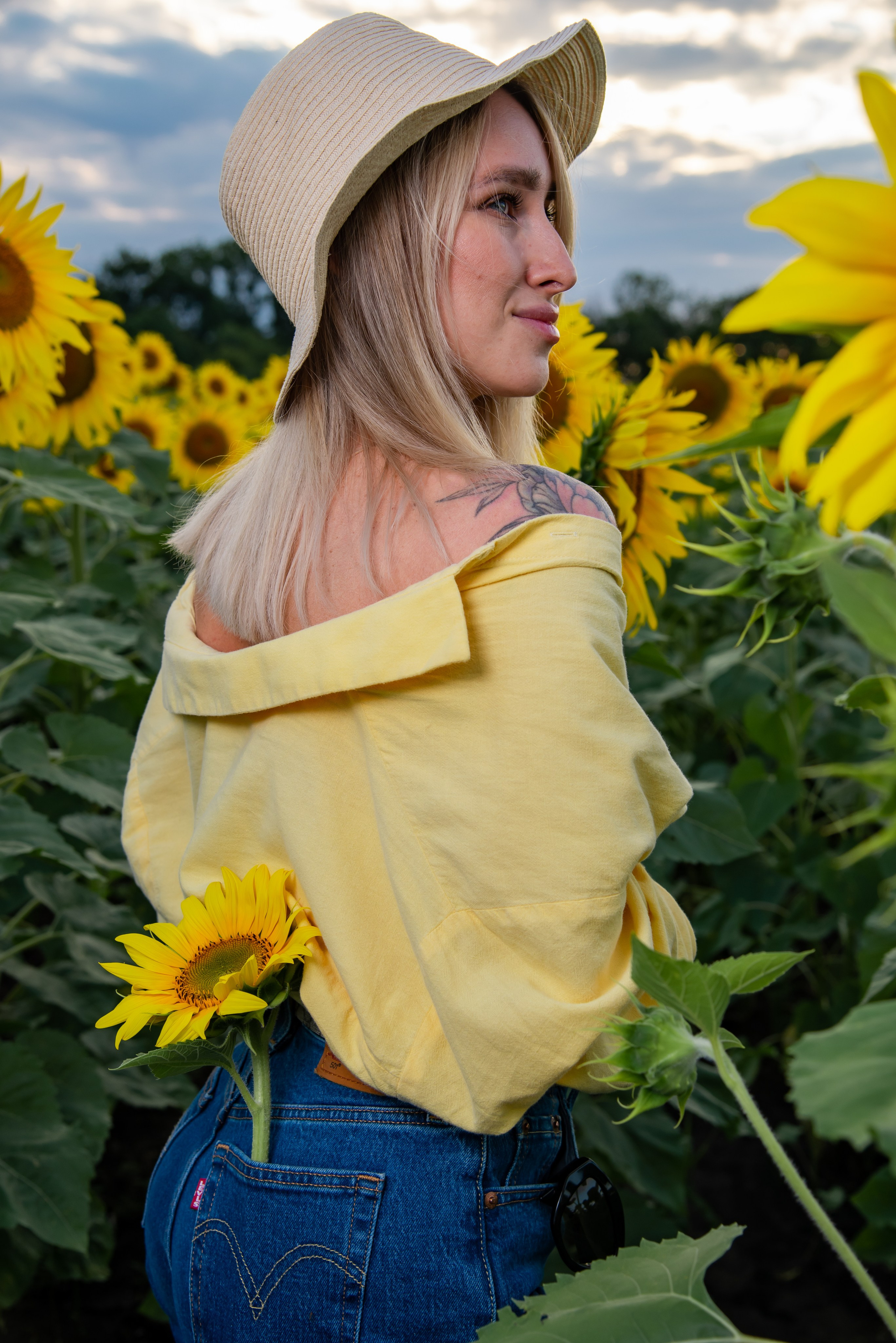 Подсолнух. Фотограф Галина Нестерова