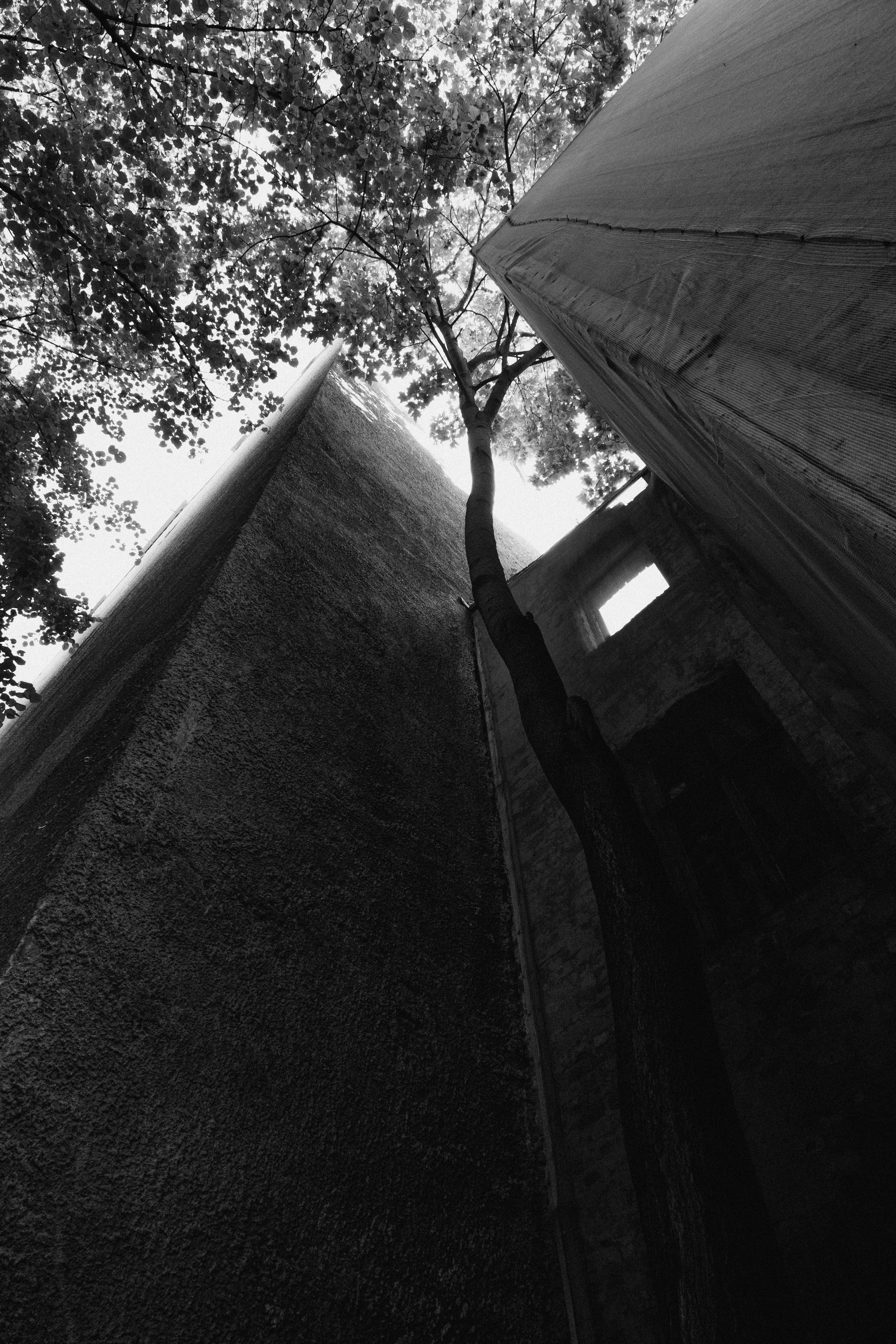 Андрей Корепов. Фотограф в Санкт-Петербурге