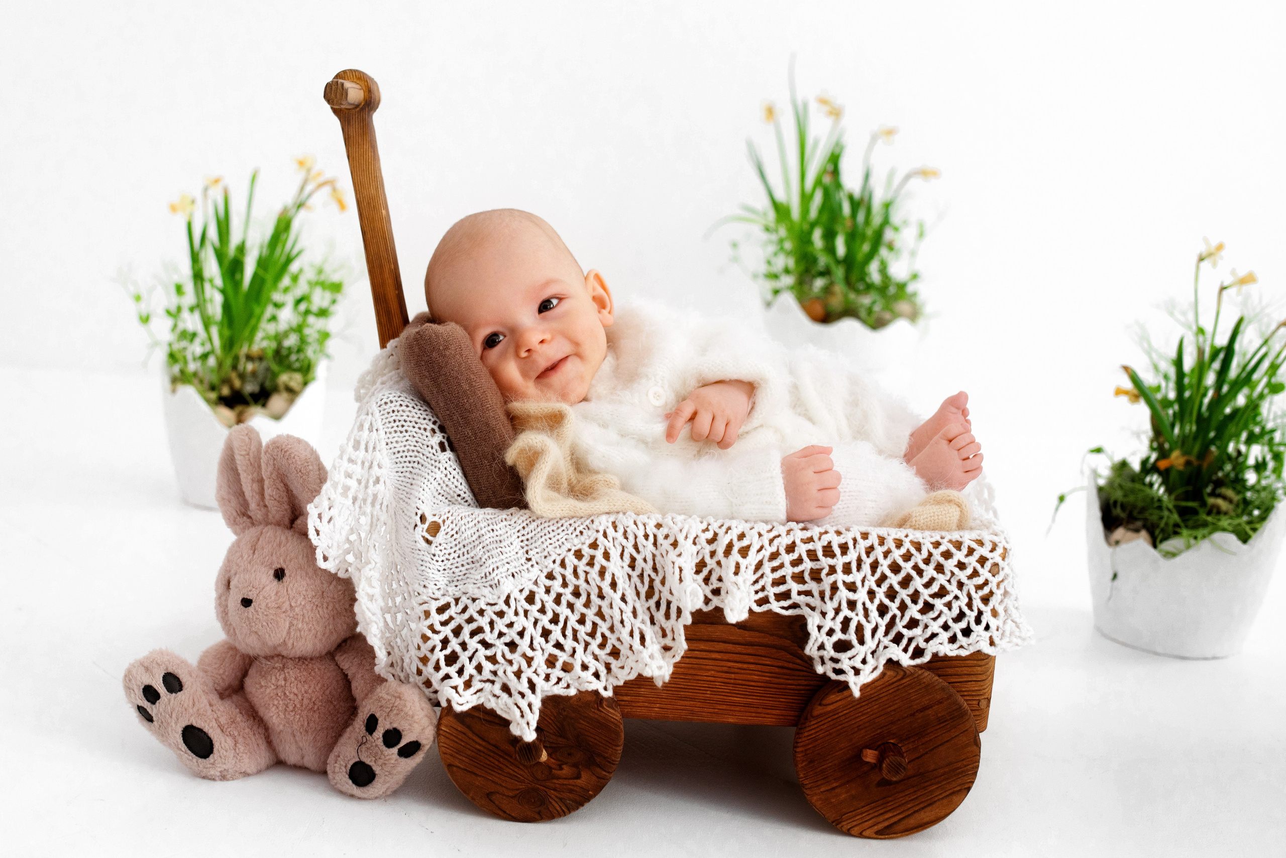 Лев (3 месяца)