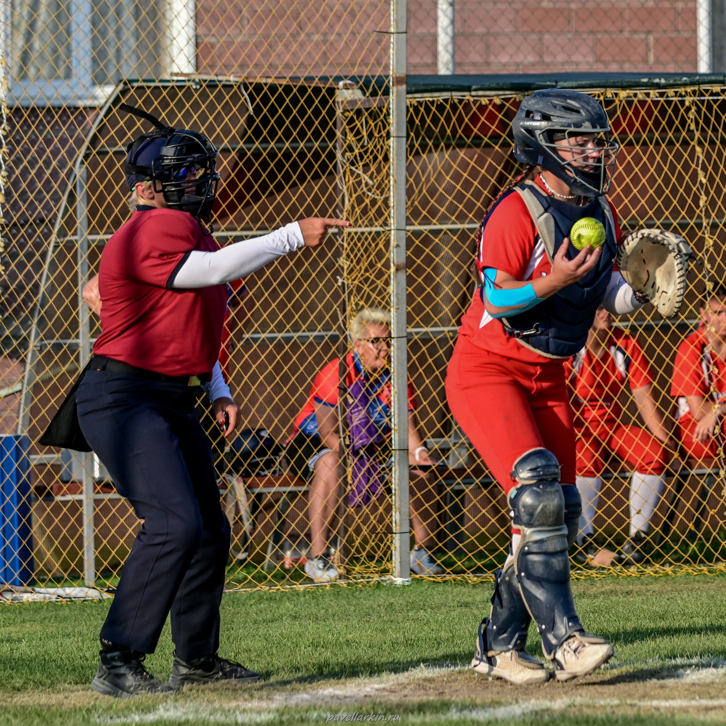 Софтбол: Финал юношеской спартакиады 2025 года. Спортивный фотограф, фотожурналист Павел Ларькин