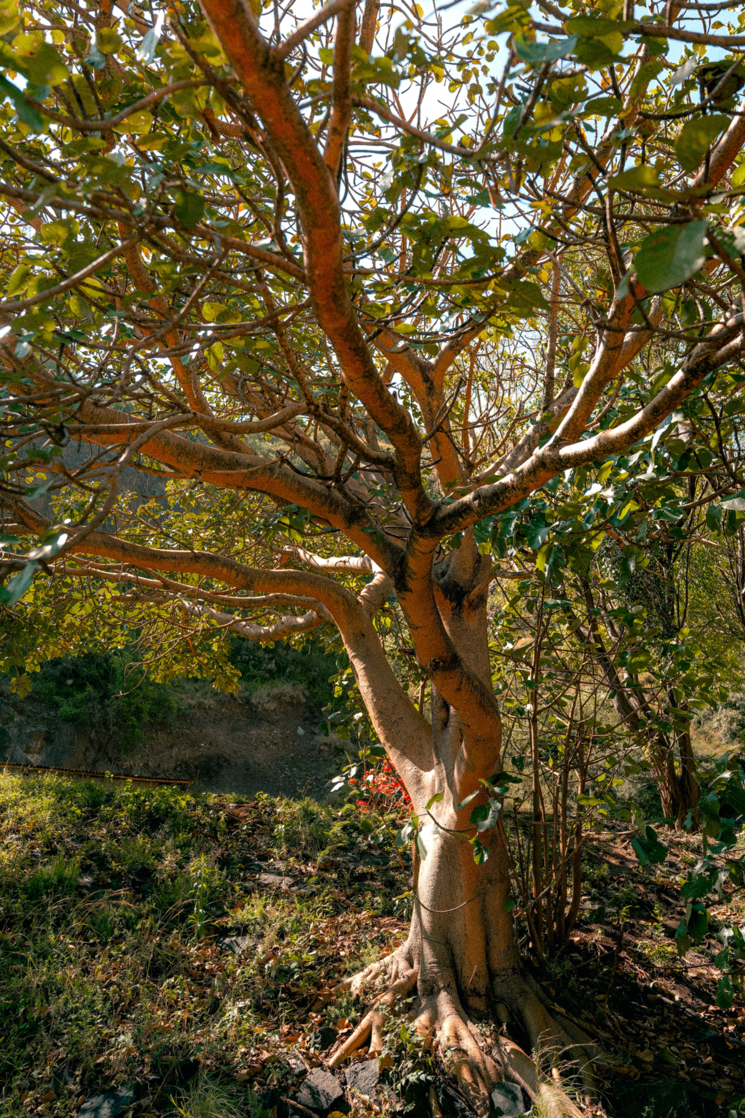 Плато жизни: Эфиопское нагорье. Юля Дэй • Фотограф, Санкт-Петербург