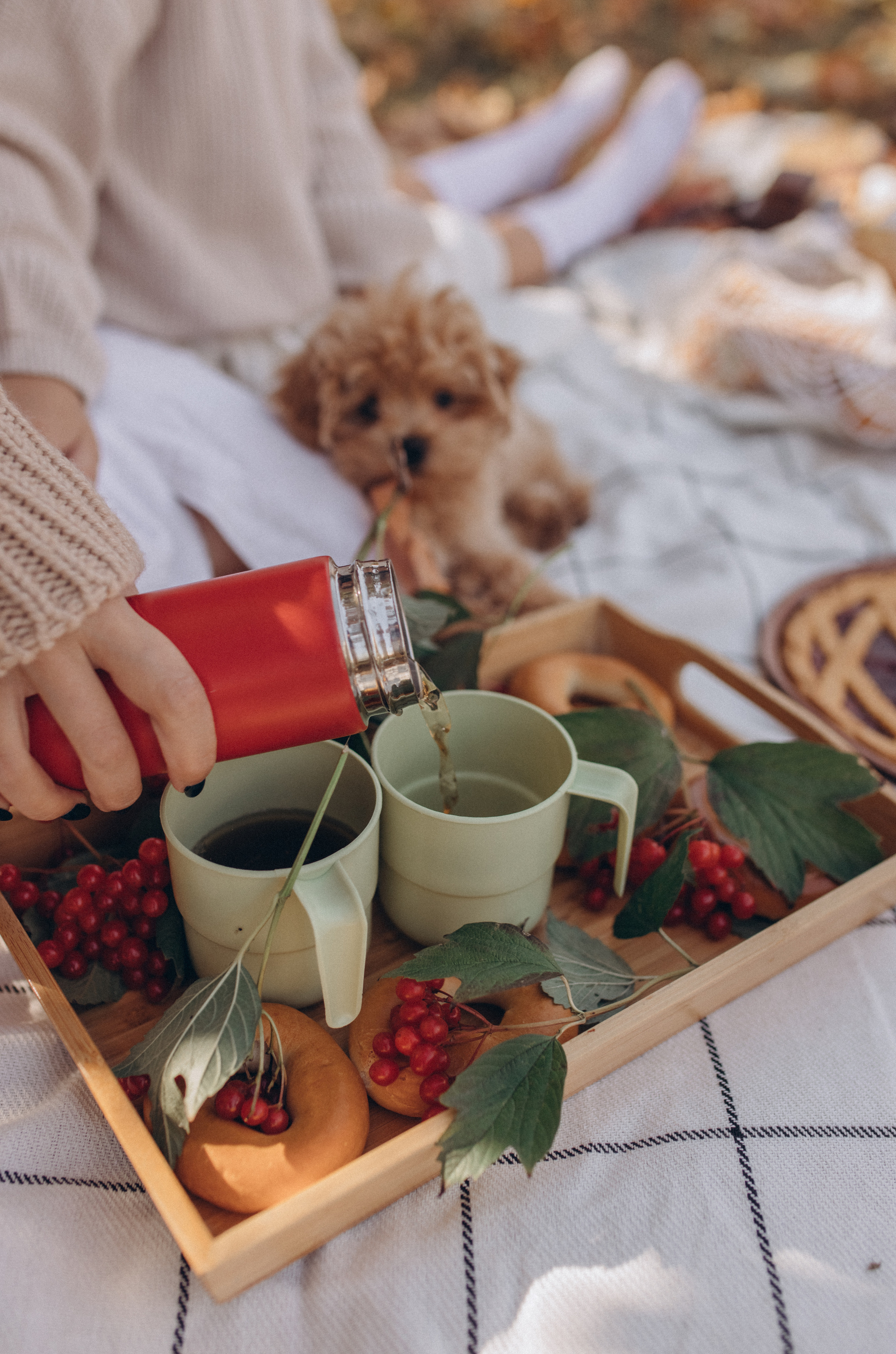 Осенний пикник. Мальтипу. Семейный и индивидуальный фотограф в Москве Литинская Екатерина