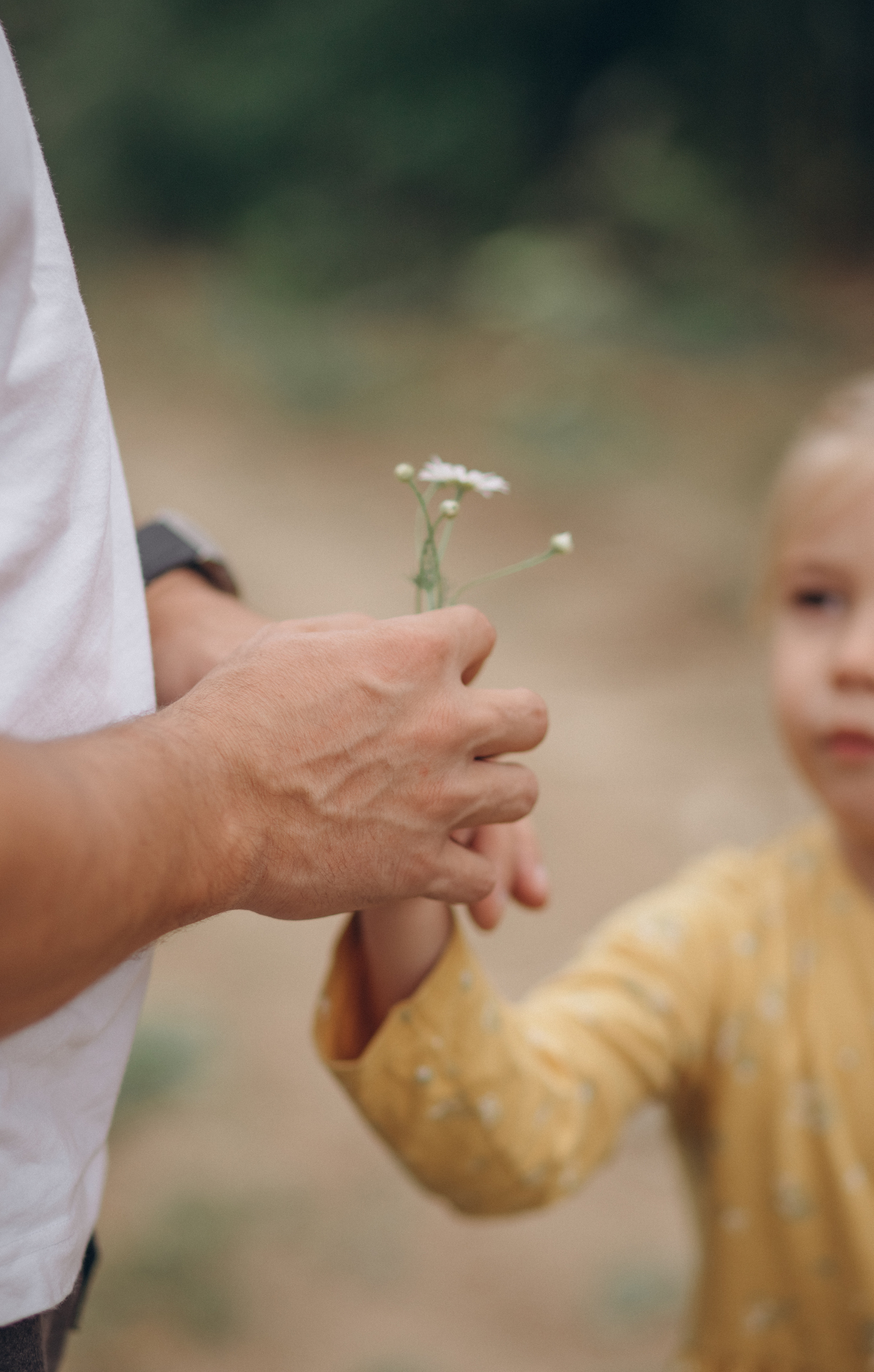 Лето. Кукуруза. Август. Семейный и индивидуальный фотограф в Москве Литинская Екатерина