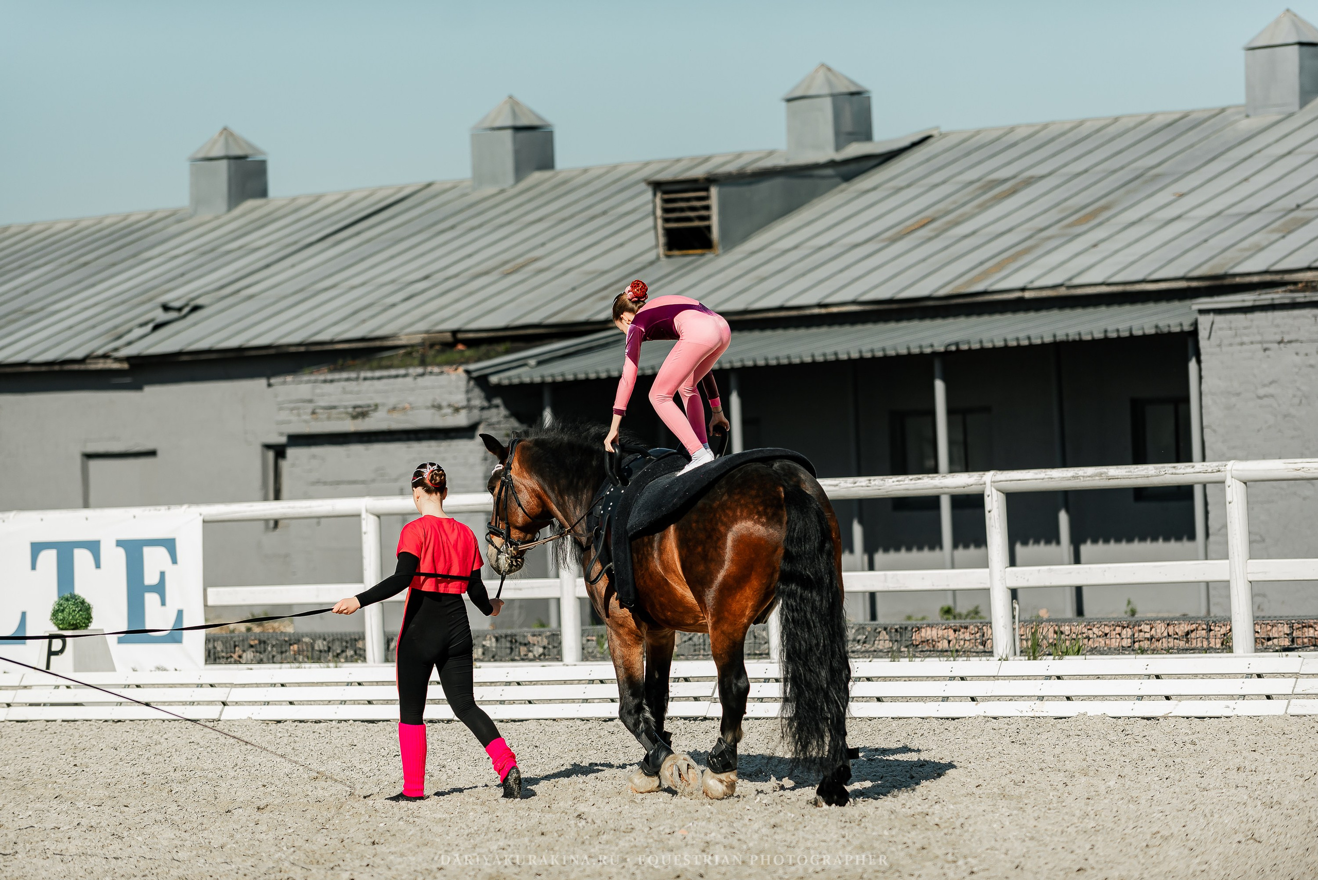 РЕПОРТАЖ МКК ВОЛЬТ «LA TULIPS». Конный фотограф Куракина Дарья • Фотосессии с лошадьми