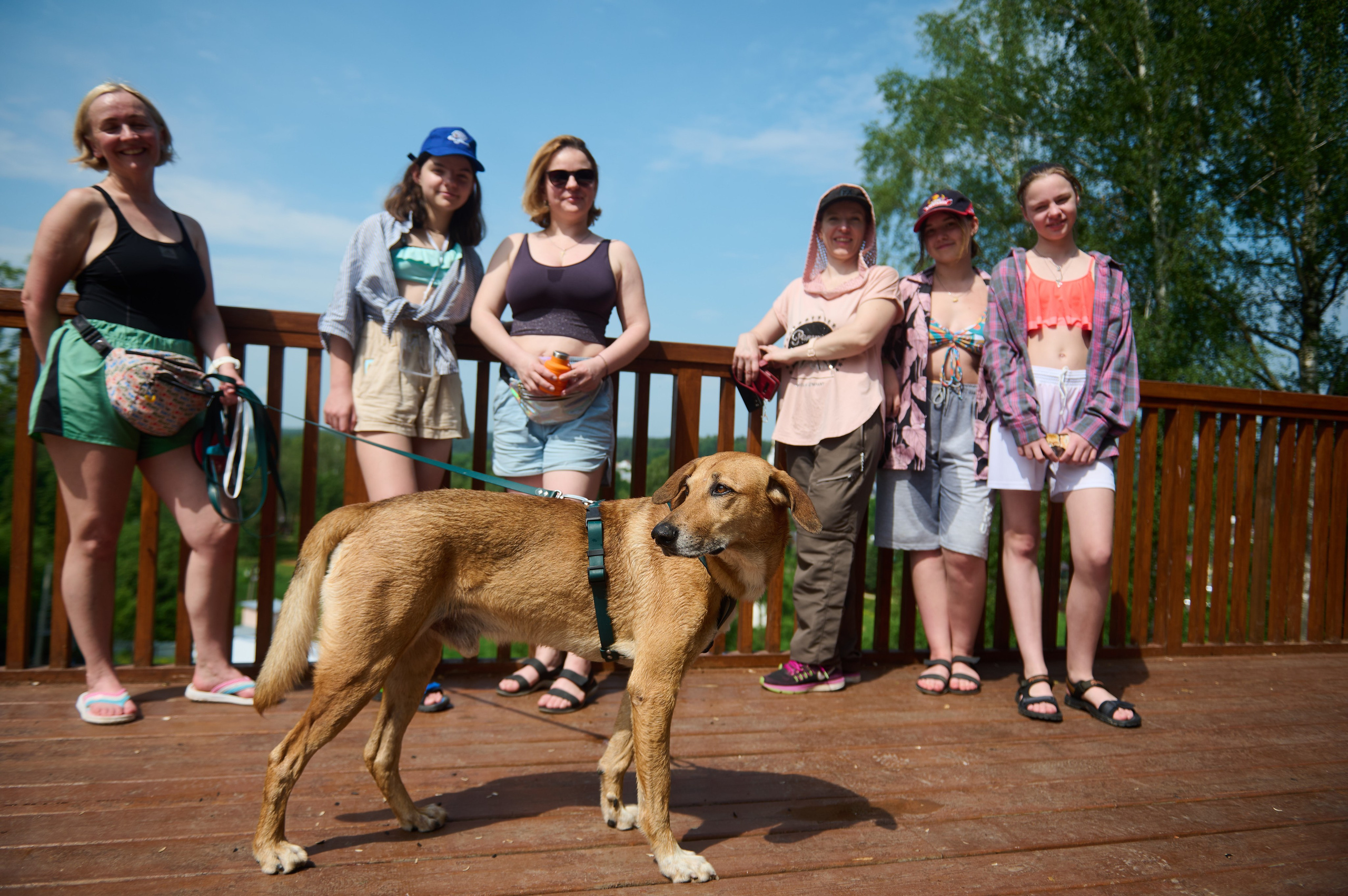Июнь р. Протва. Главная