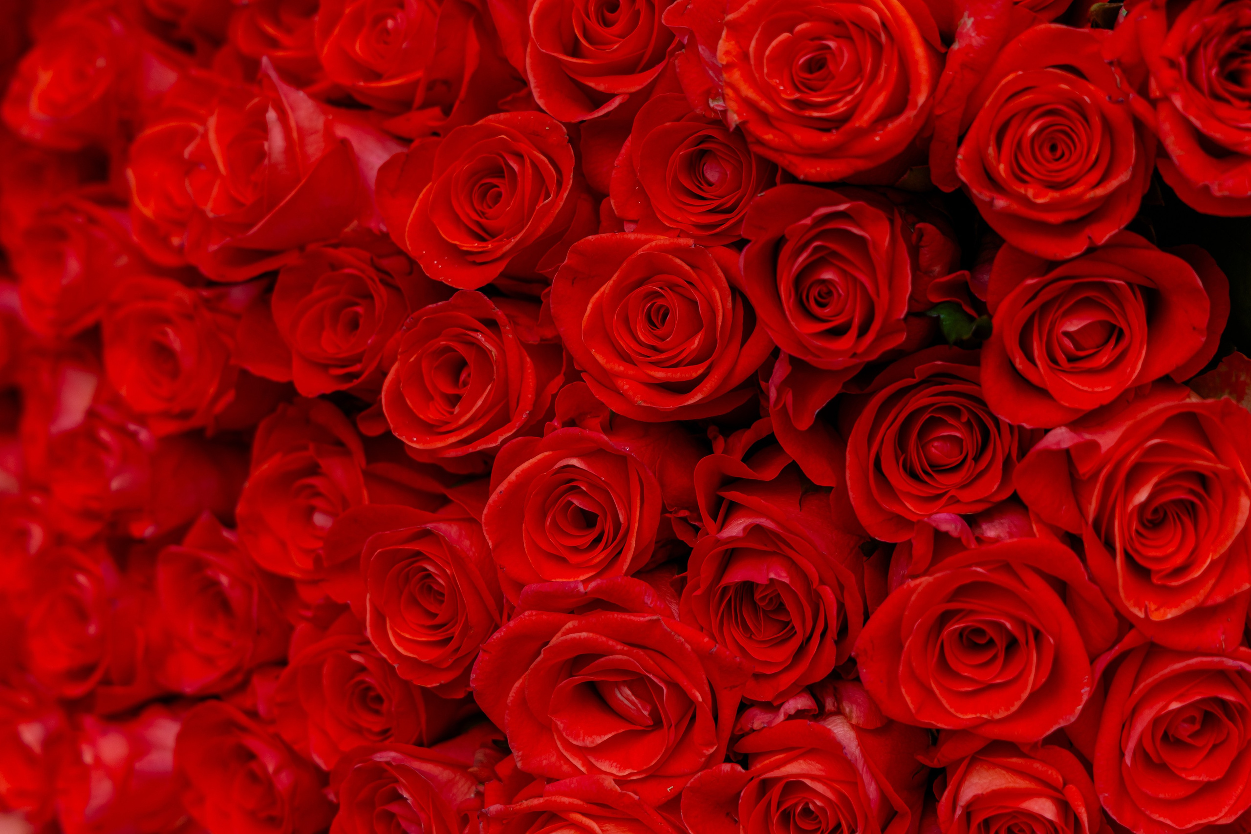 Школьный выпускной 2025 год в Минске, Беларуси. Свадебный фотограф в Минске/Беларуси Сергей Спиридонов