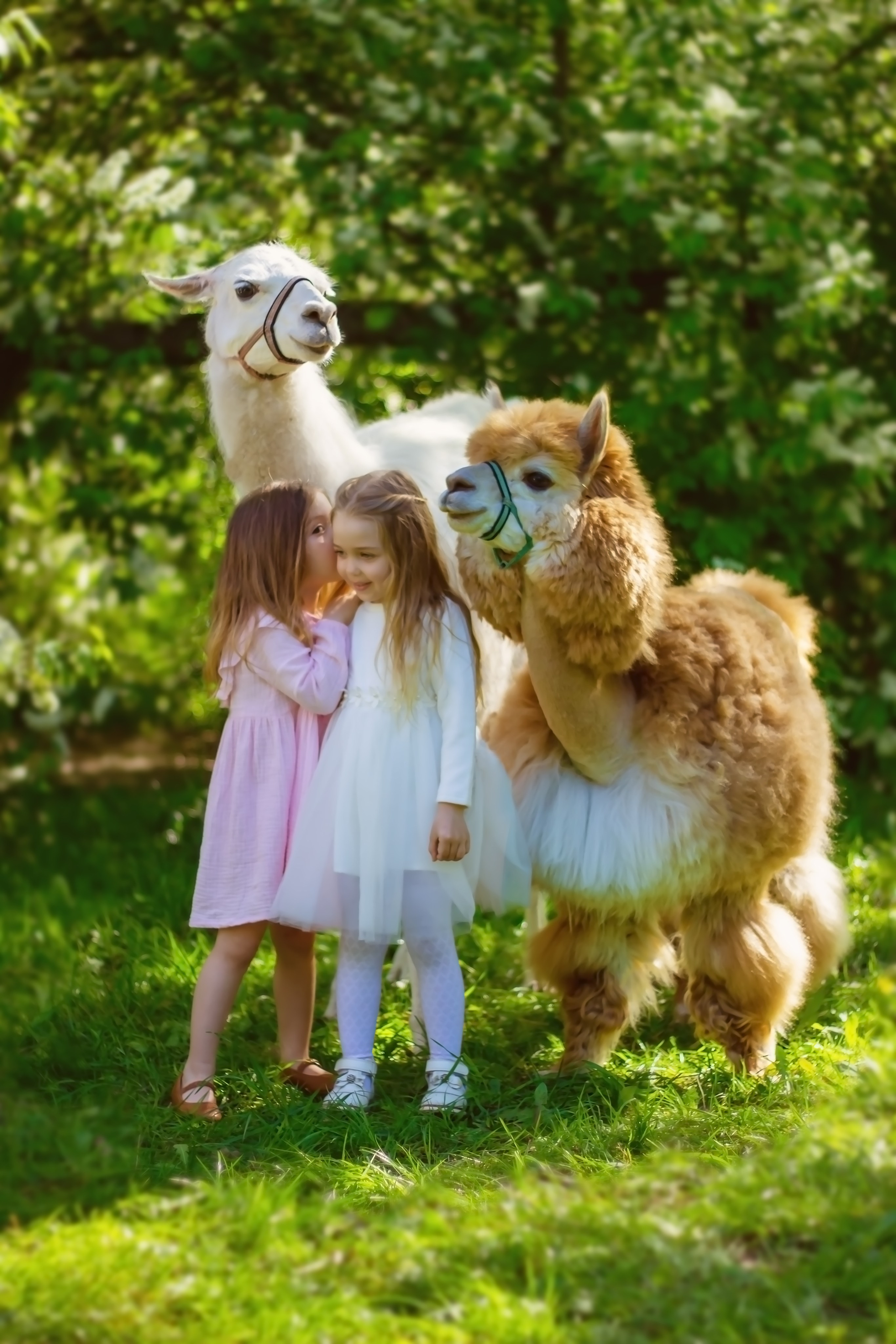 Детская фотосъёмка. Фотограф в Москве фотосессия