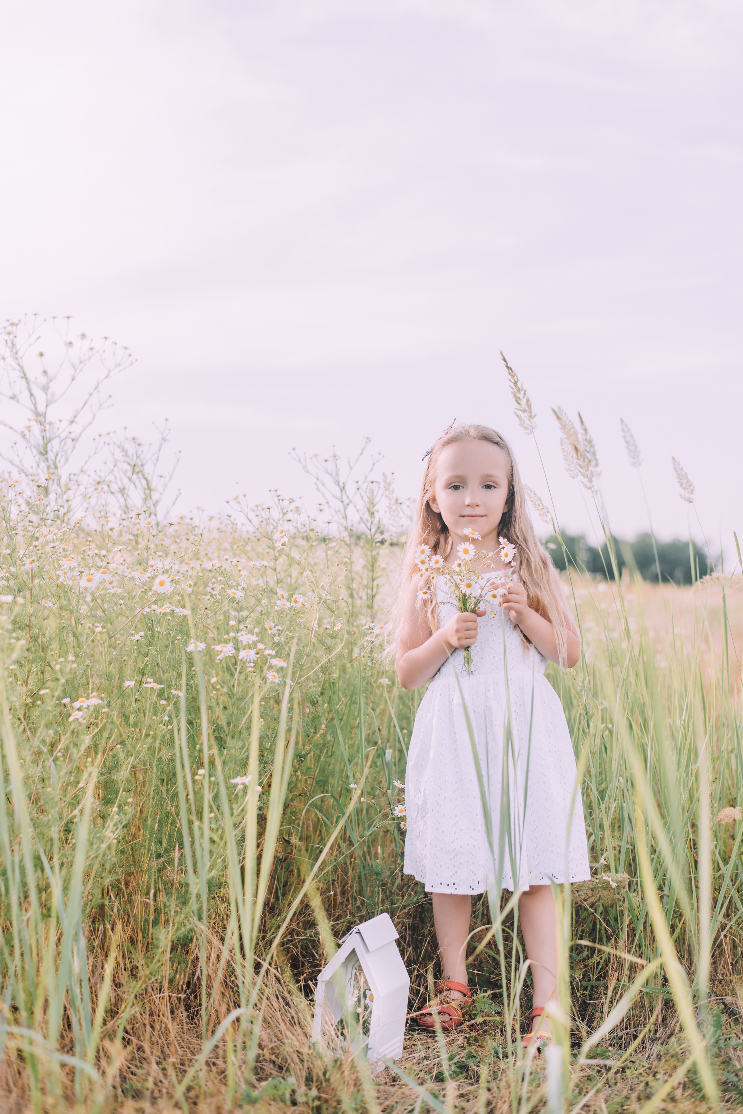 Ромашковая история Марии и Алисы. Фотограф в Краснодаре Зеленкина Дарья
