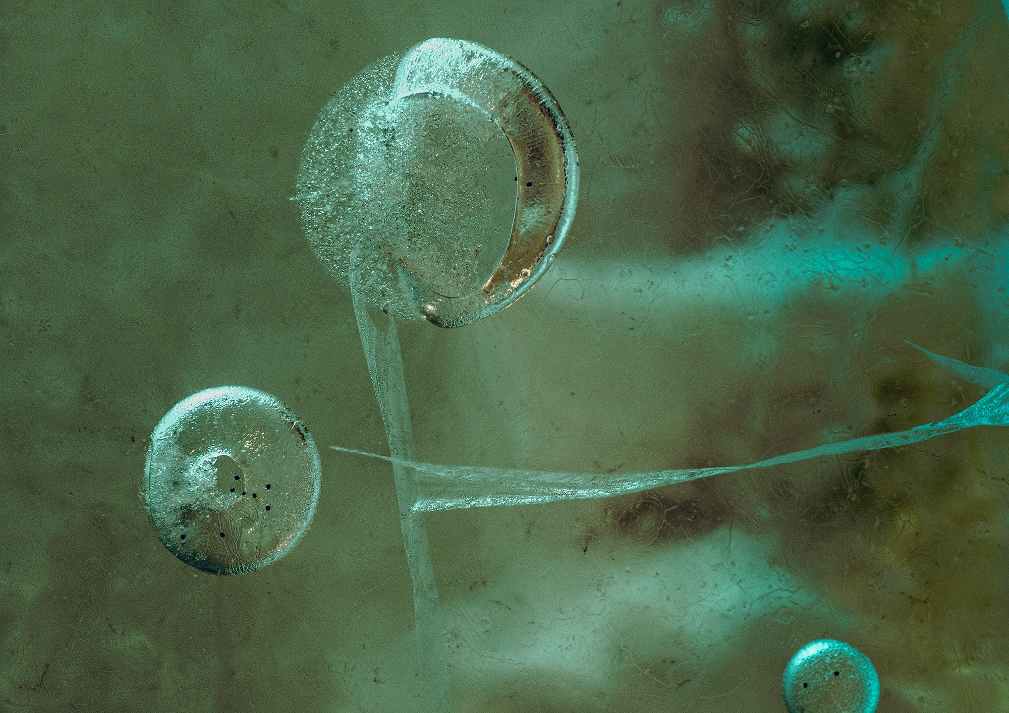 «Мы здесь». Фотограф Переверзева Наталья / Ханты-Мансийск