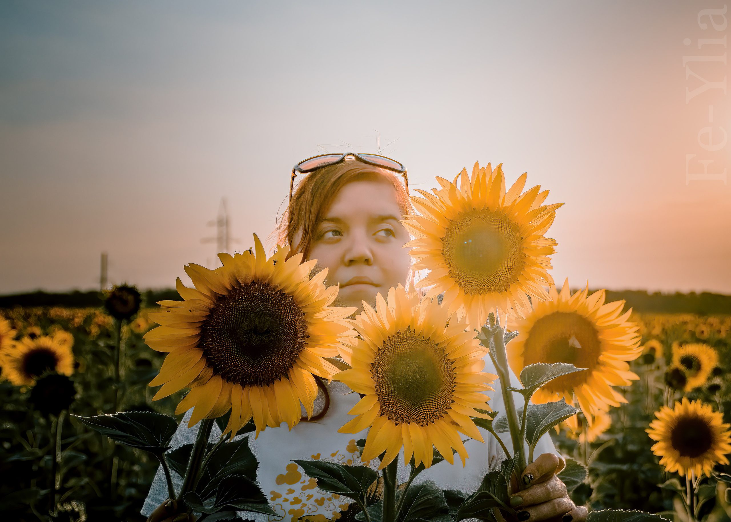 девушка в контровом свете смотрит из-за подсолнухов