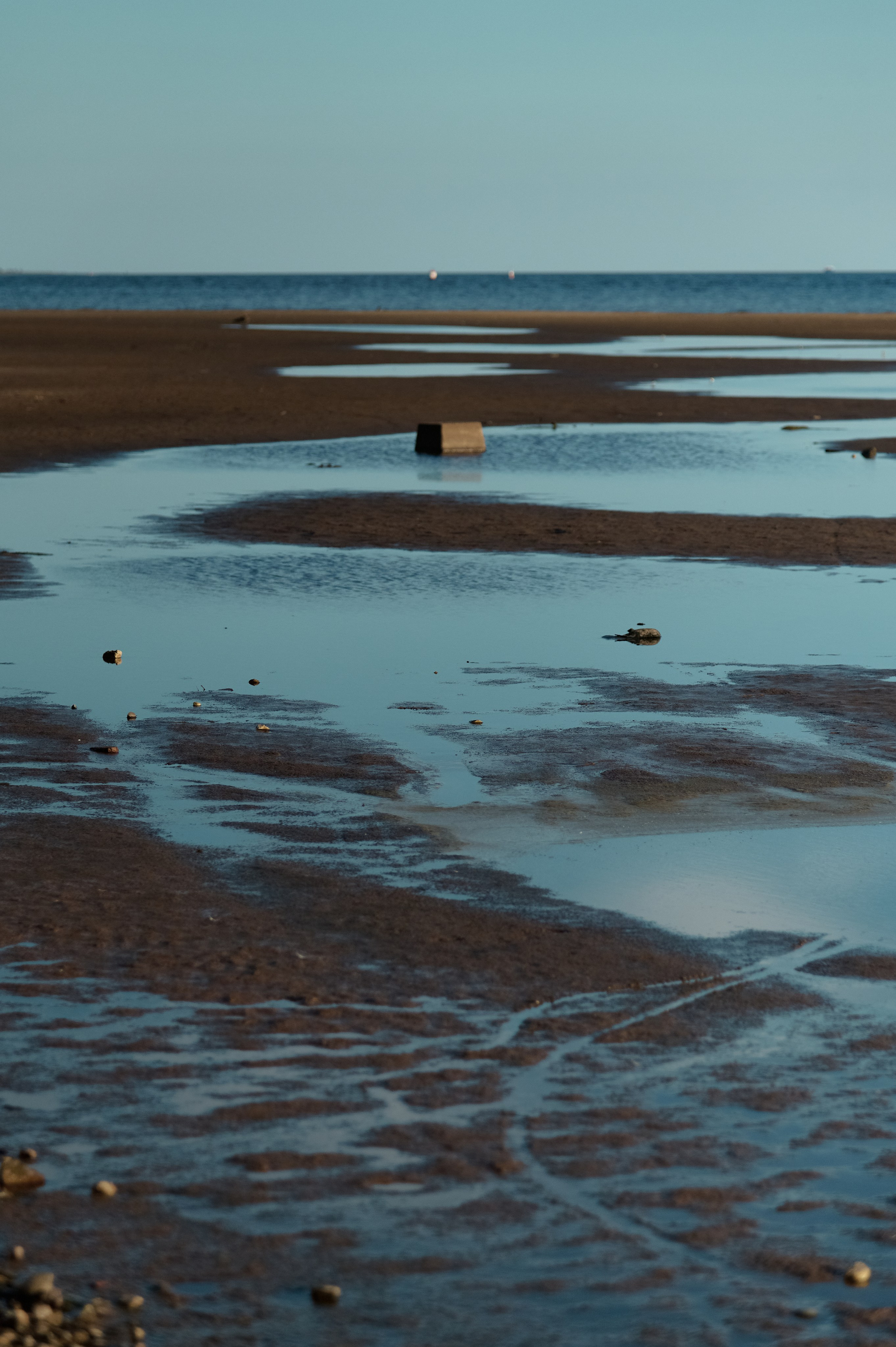 Арина. Рыбинское водохранилище. Женский фотограф в Череповце Даша Акулич
