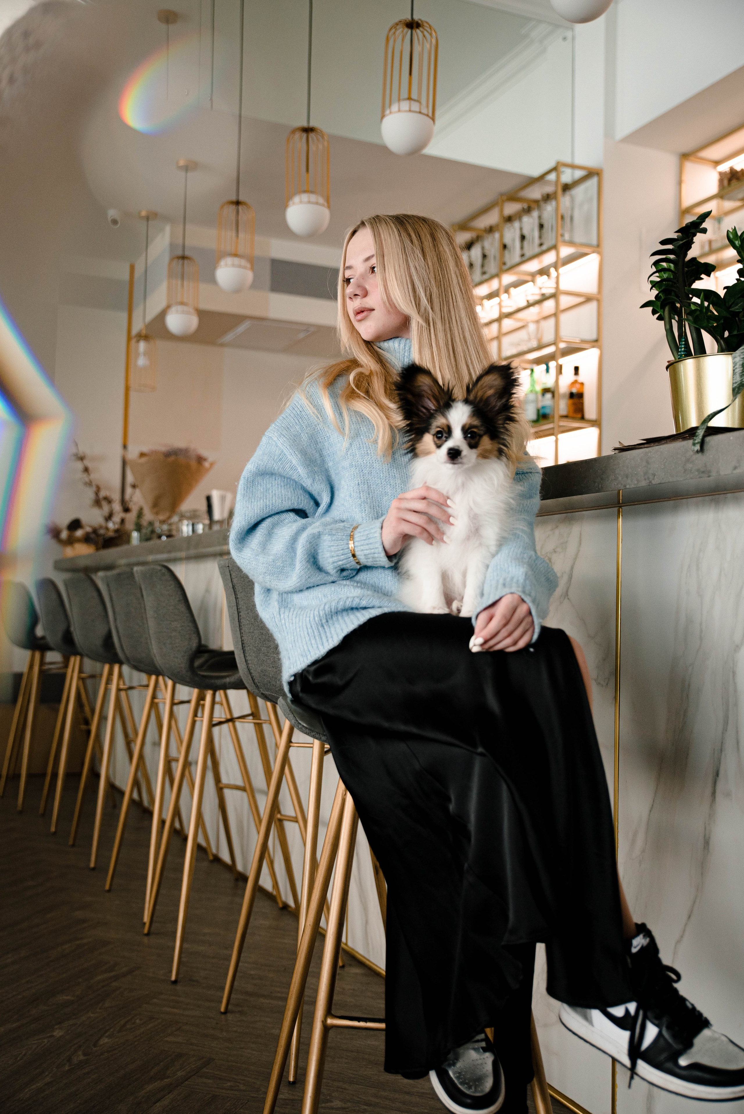 Настя, Света и Папийон Луней. Главная