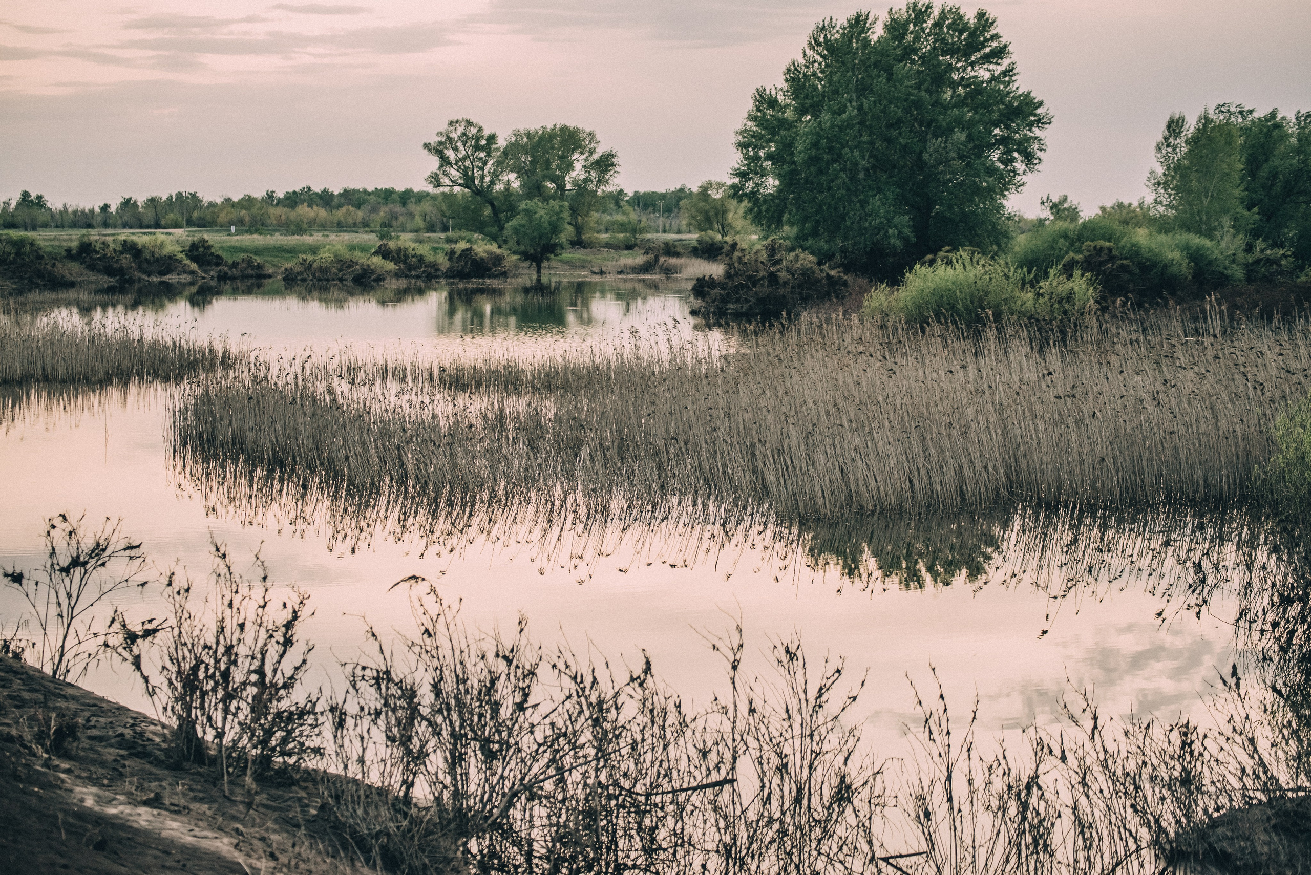 Заповедник «Оренбургский», предуральская степь. Фотообъединение Самарского областного отделения Союза журналистов России