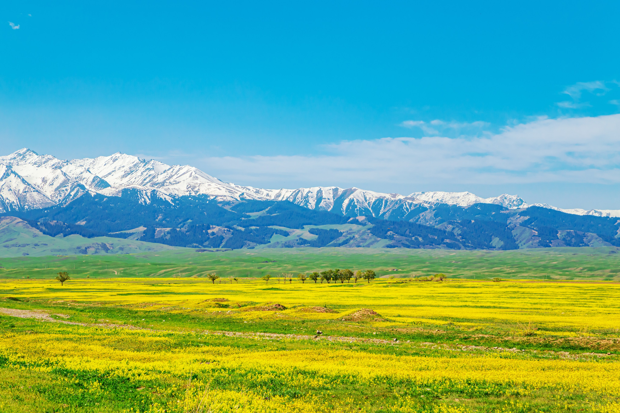 Казахстан. Тревел-фотограф Елизавета Ларионова