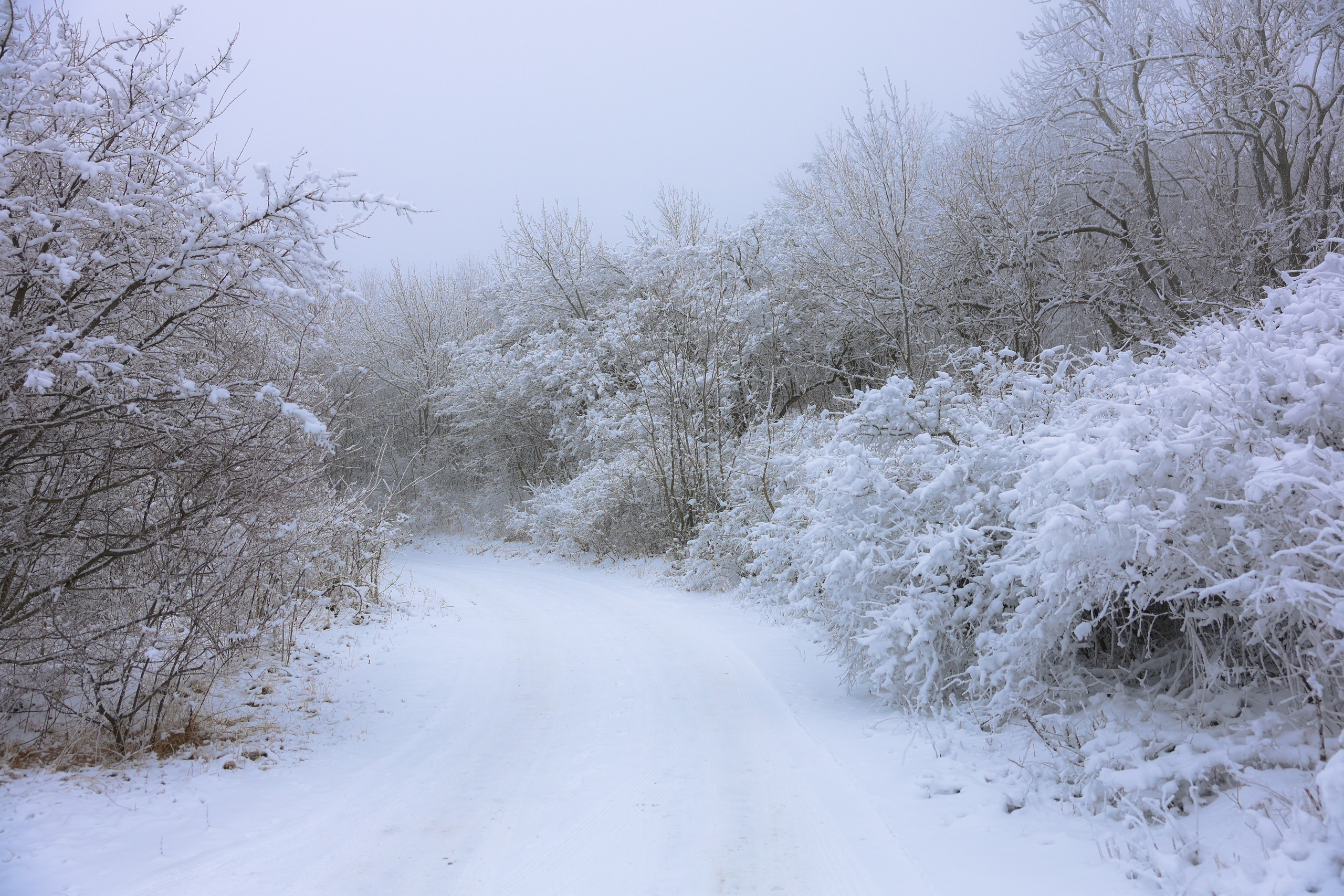 Фотограф Мария Алексеева. Мария Алексеева. Фотограф в Москве