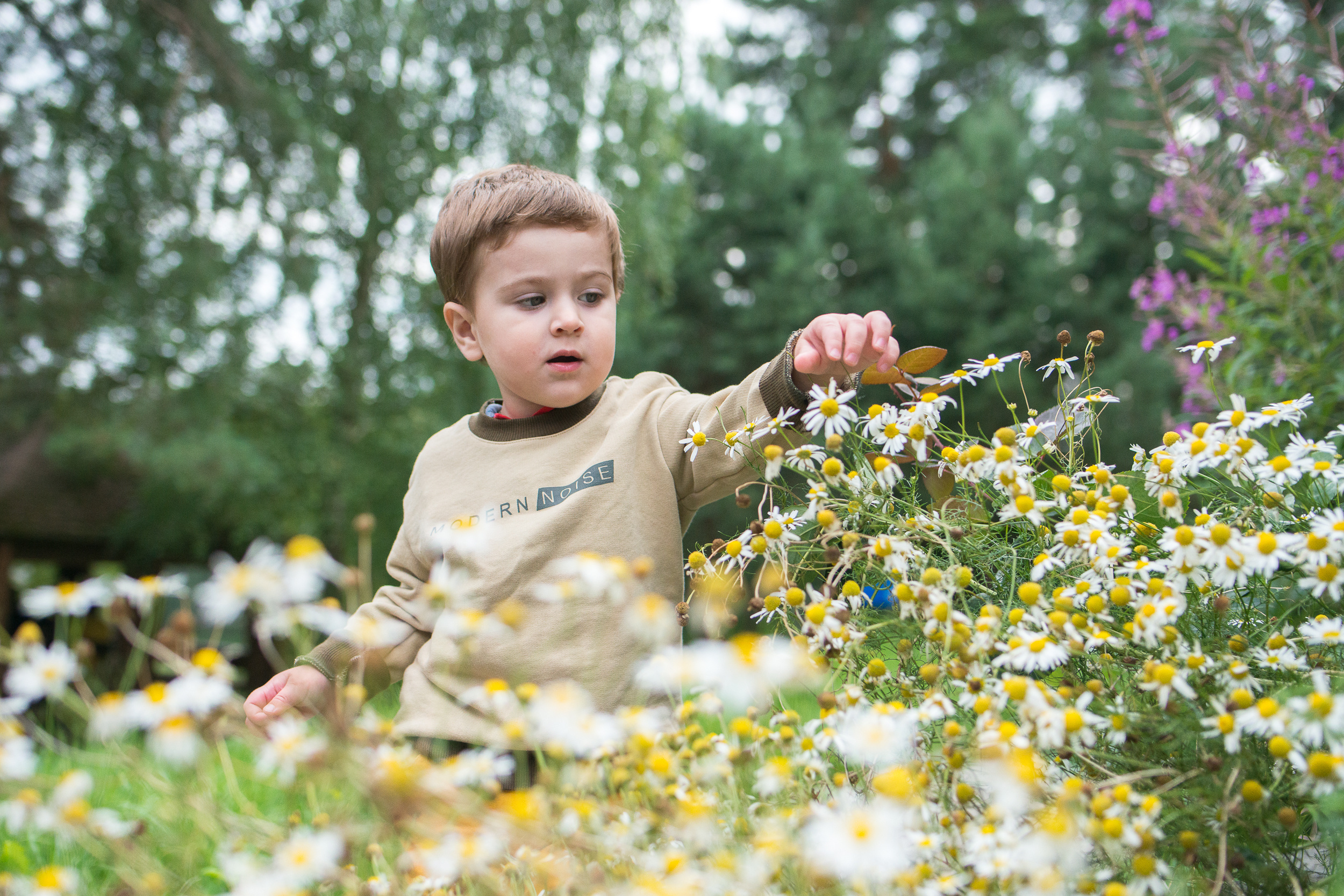 Съемка юбилея в Велегож Парке. Портретный фотограф в Москве Алексей Михайлов