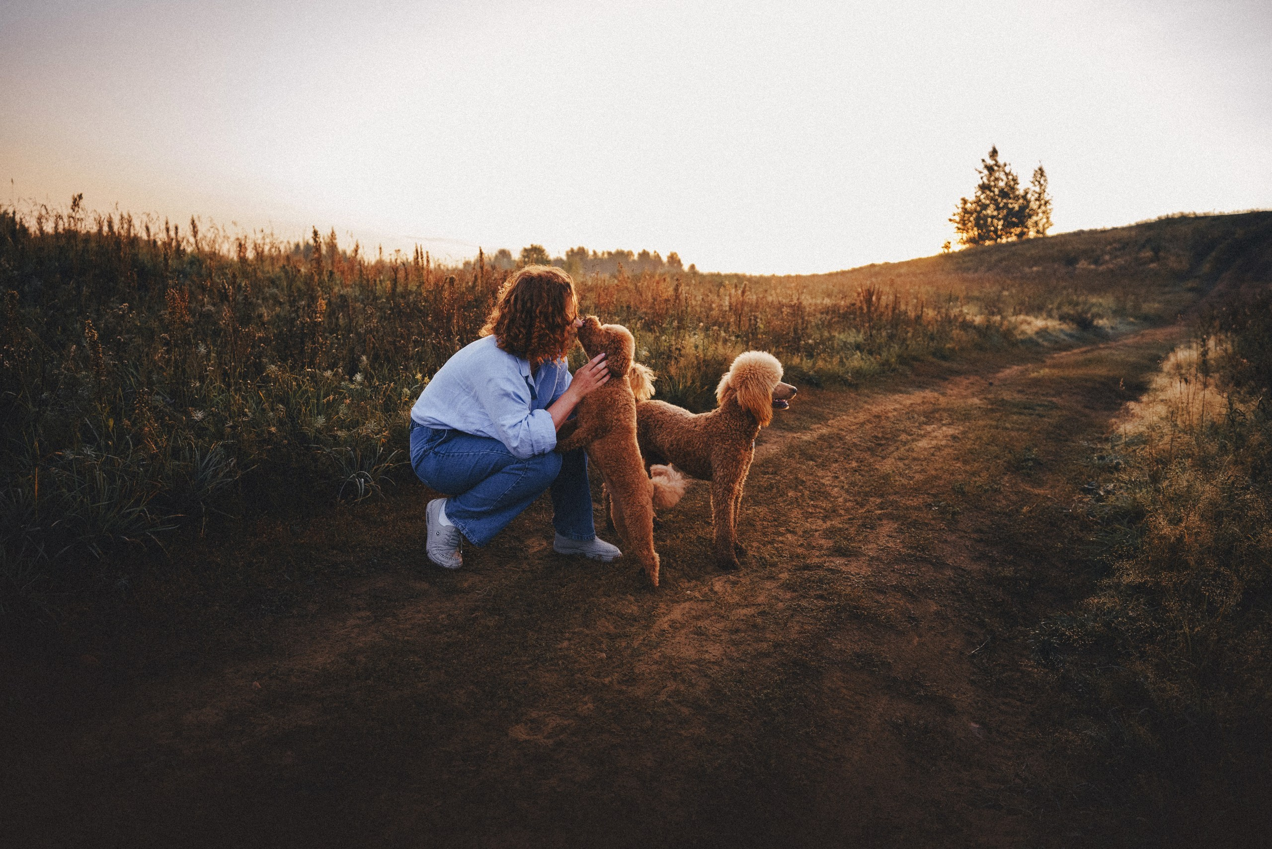 Юля, Кир и Цера. Фотограф анималист Осипчикова Мария