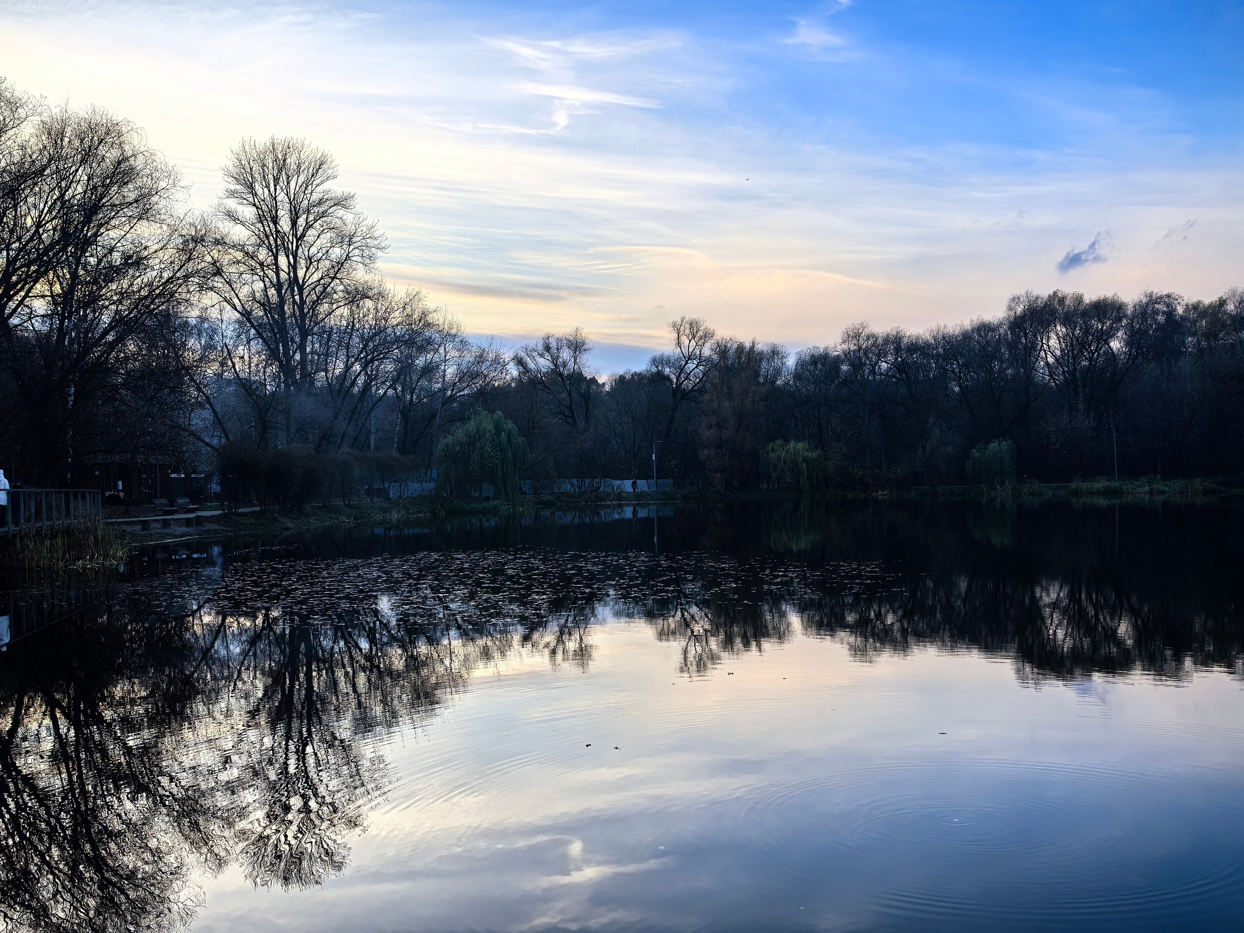 Покровско-Стрешнево. Школьные выпускные альбомы в Москве Марина Николаева
