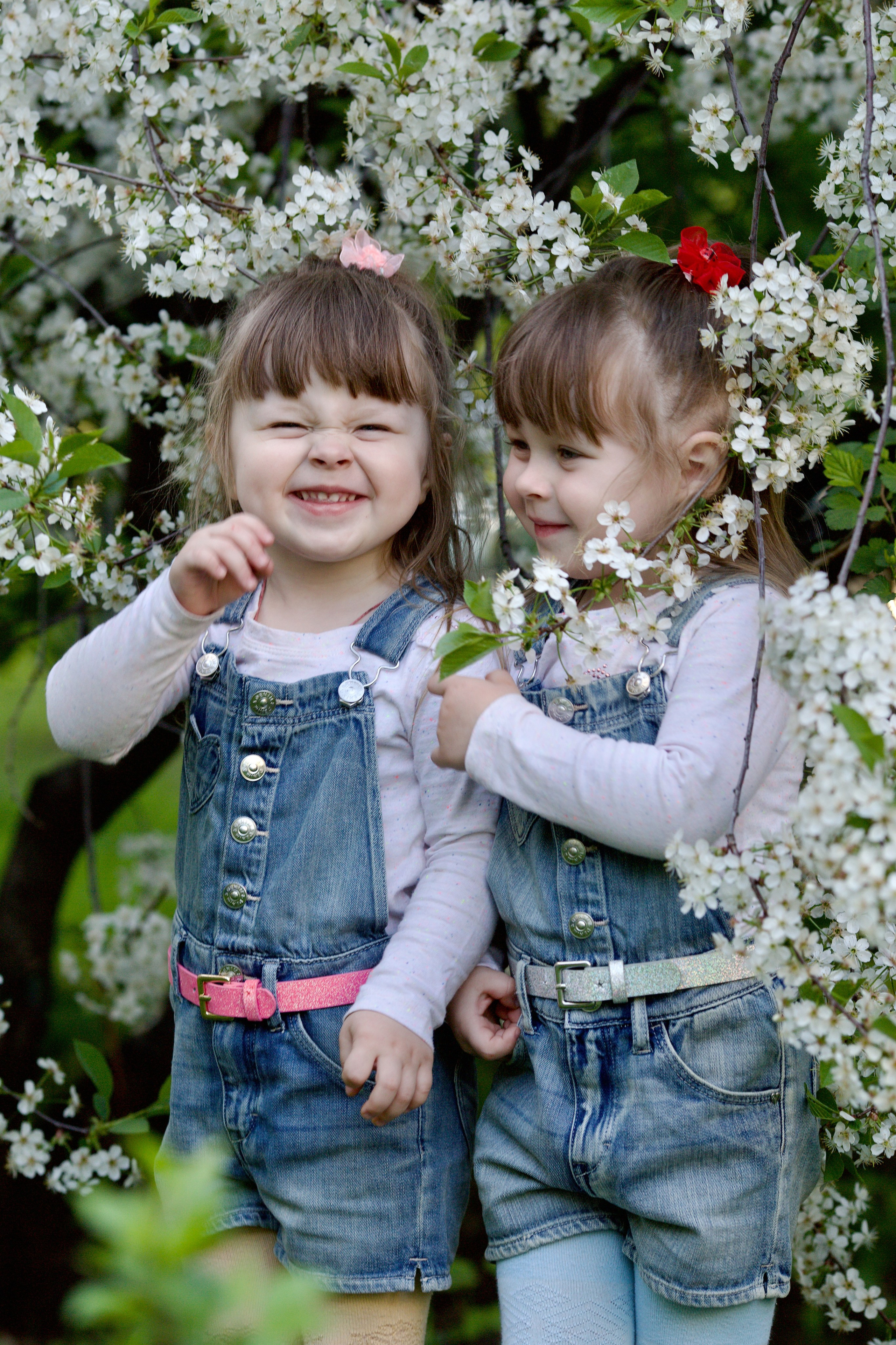 близняшки и вишня