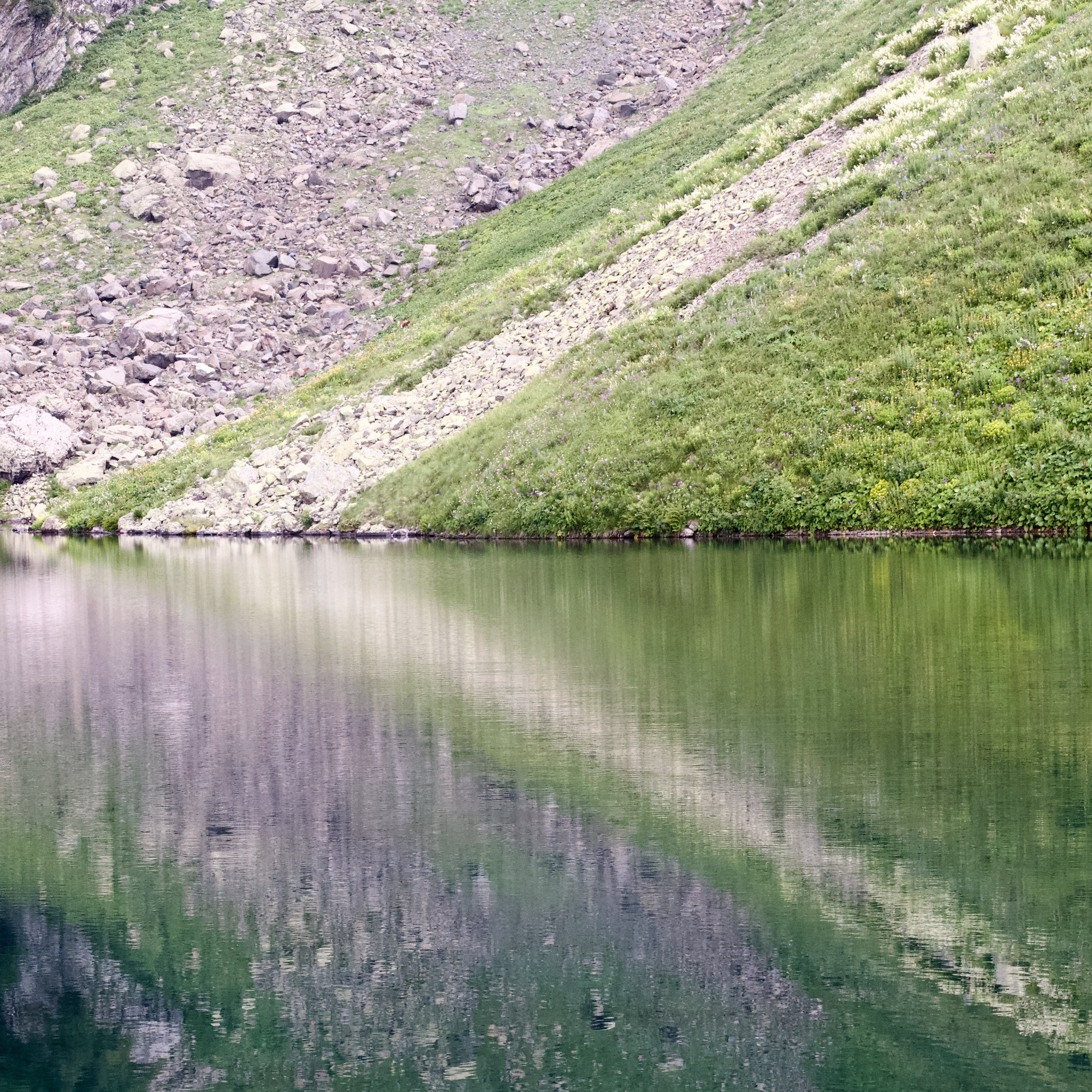 Абхазия. Школьные выпускные альбомы в Москве Марина Николаева