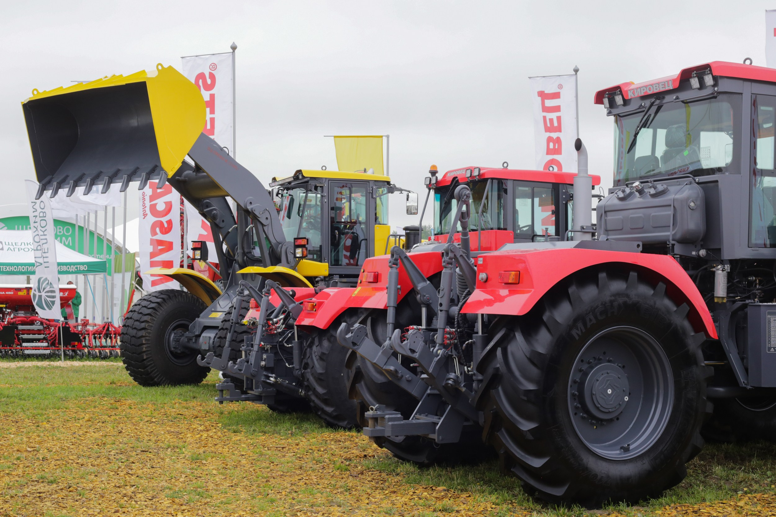 Репортаж — День поля 2019. Свадебный и семейный фотограф в Санкт-Петербурге Макеева Наталья