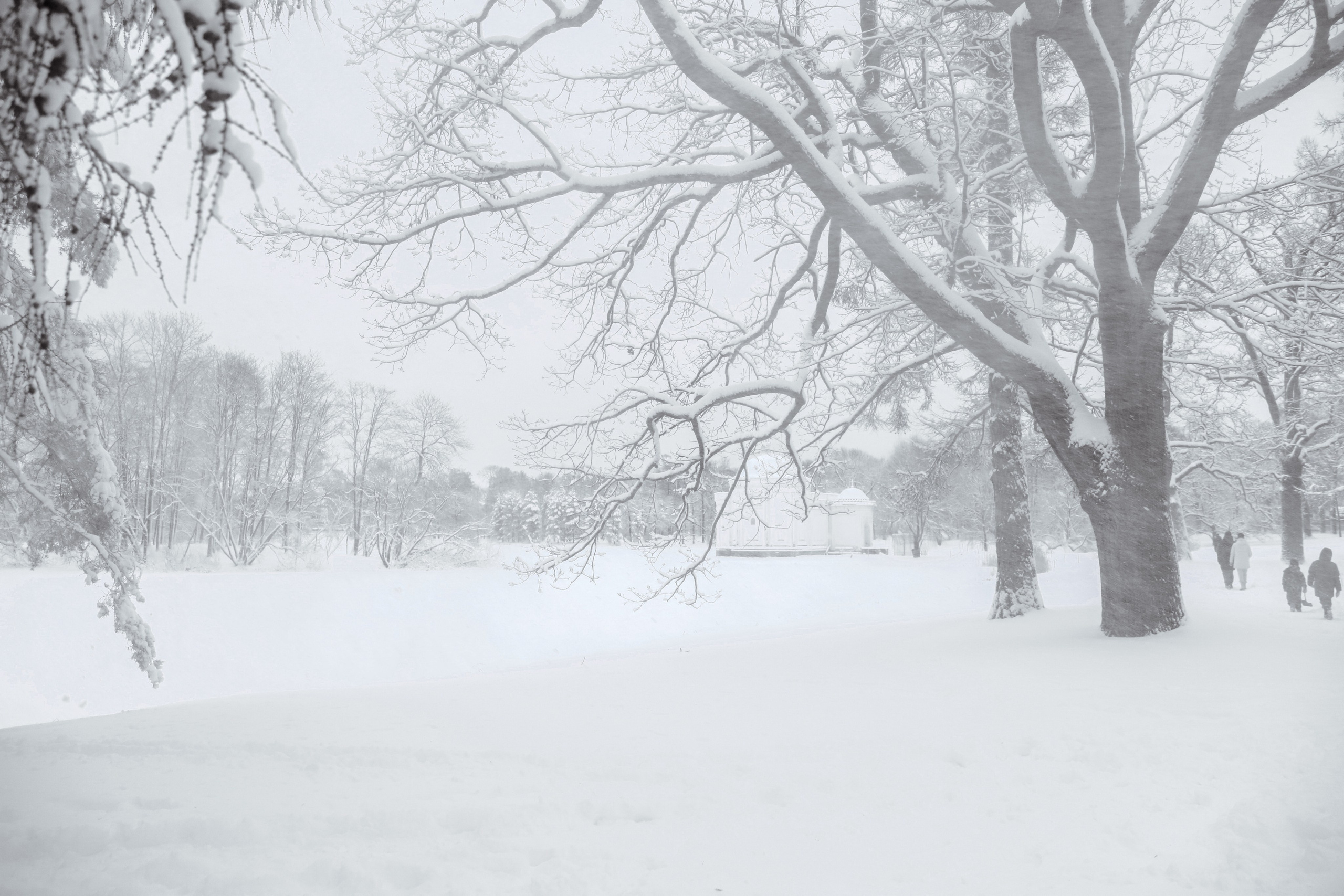 Фото с прогулок и с поездок на Кольский полуостров